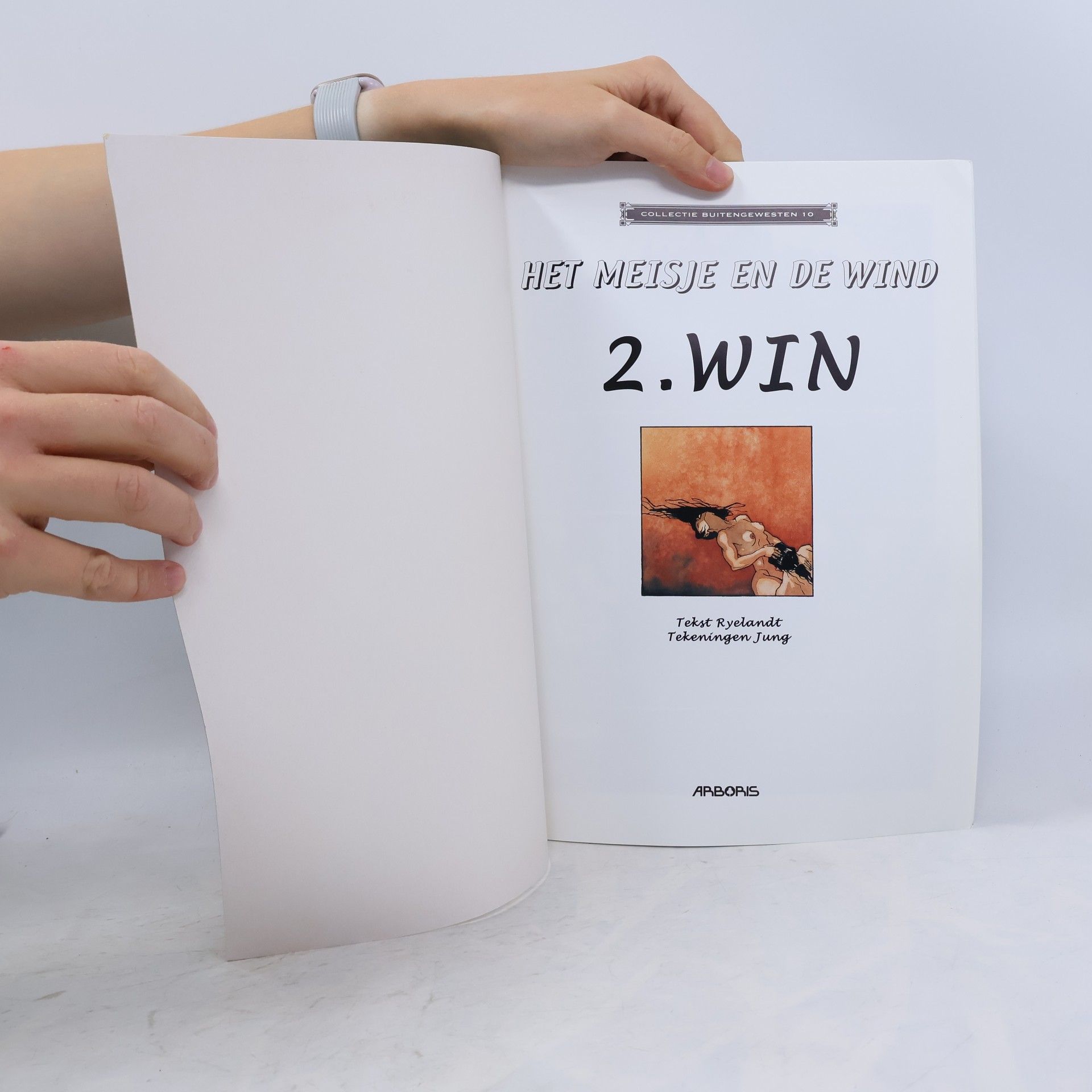 Ryelandt Het meisje en de wind 2