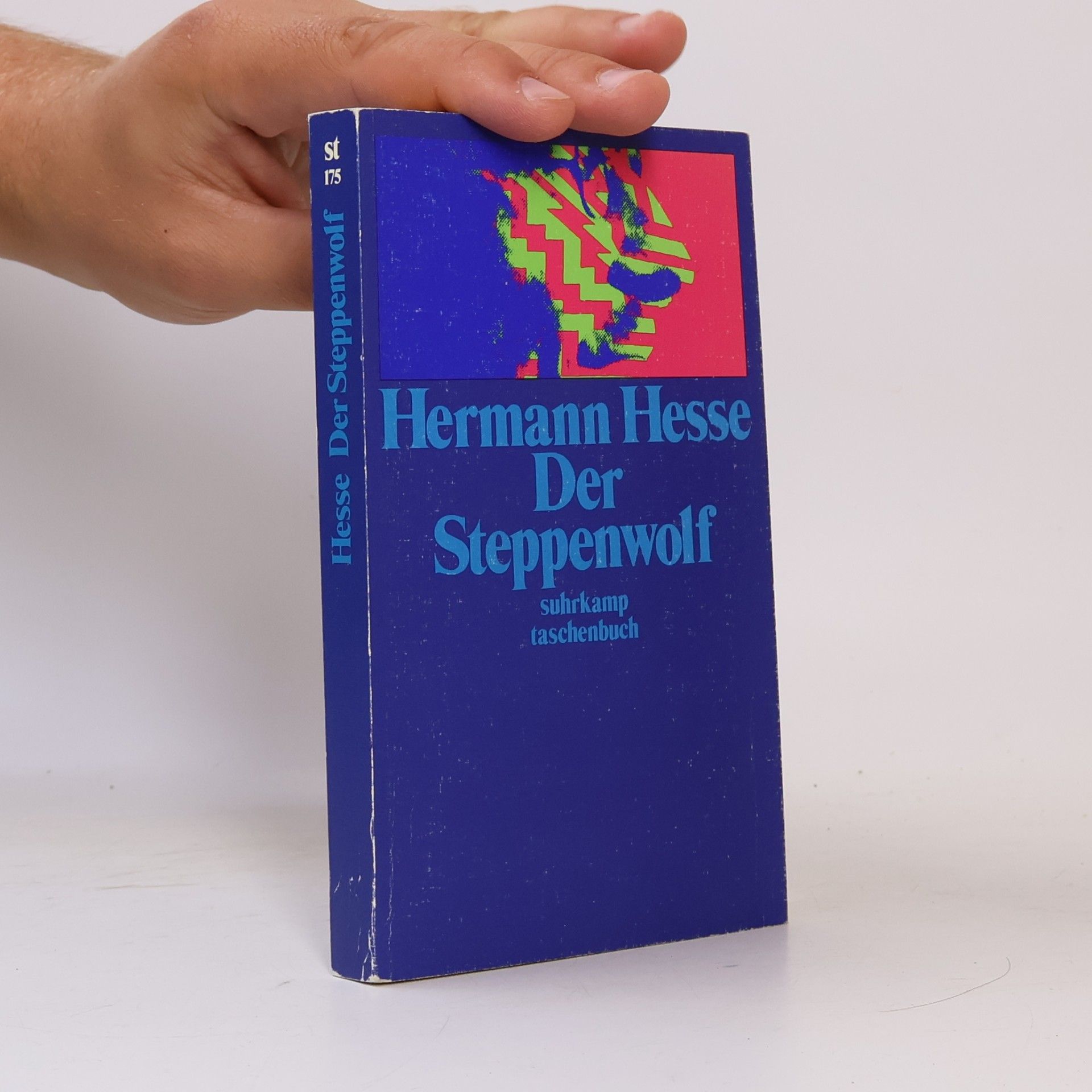 Hermann Hesse Der Steppenwolf