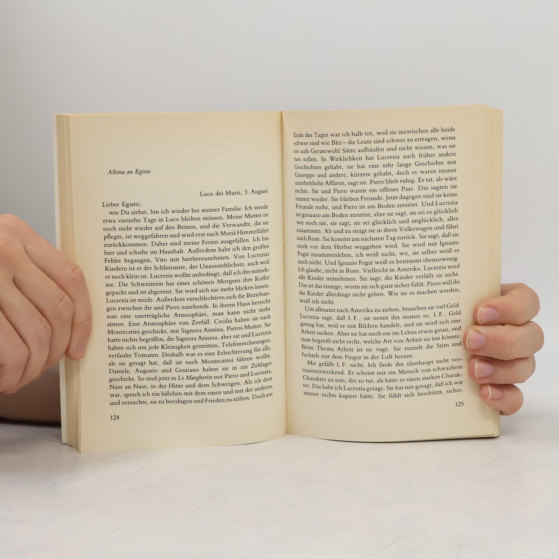 Natalia Ginzburg Die Stadt und das Haus