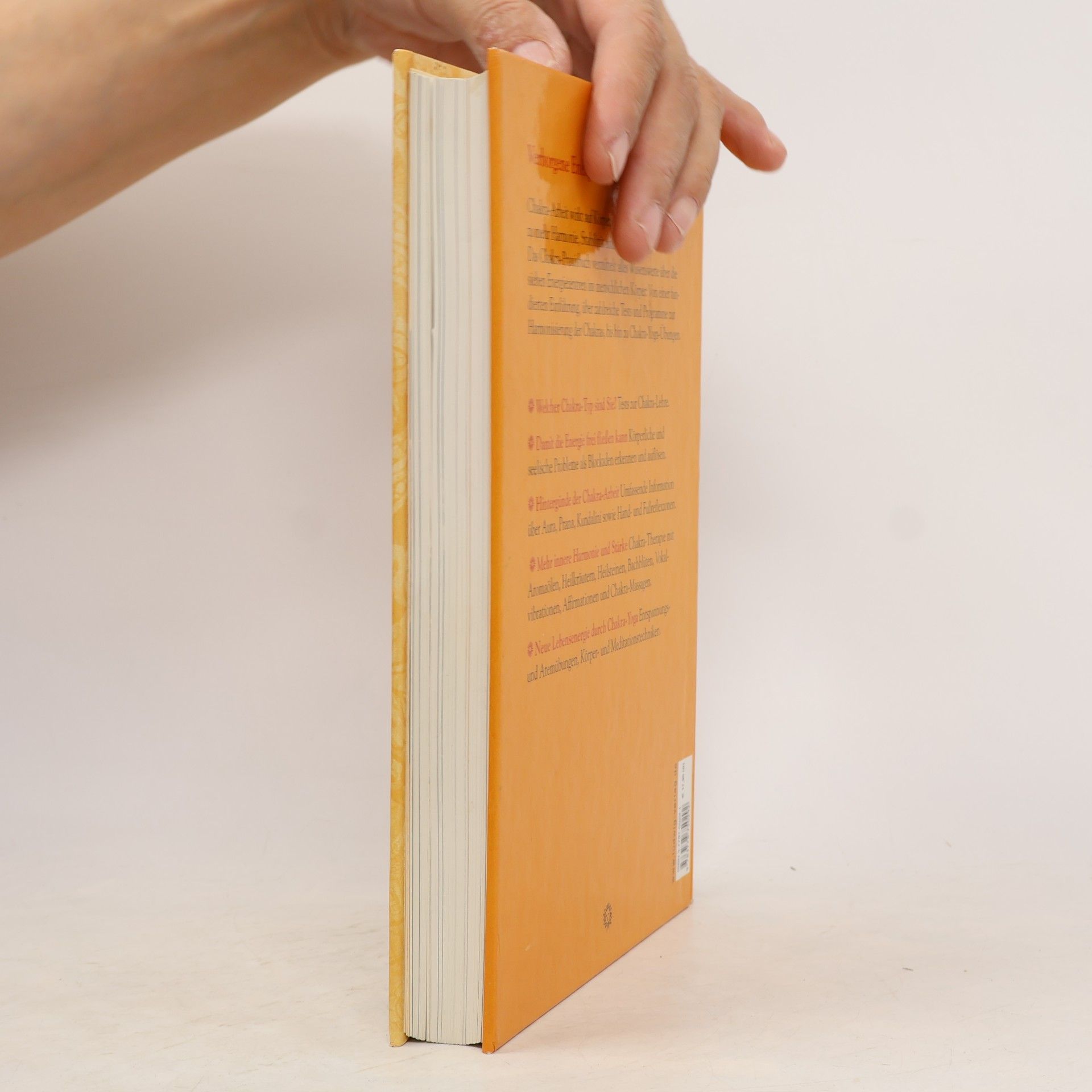 Kalashatra Govinda Chakra-Praxisbuch