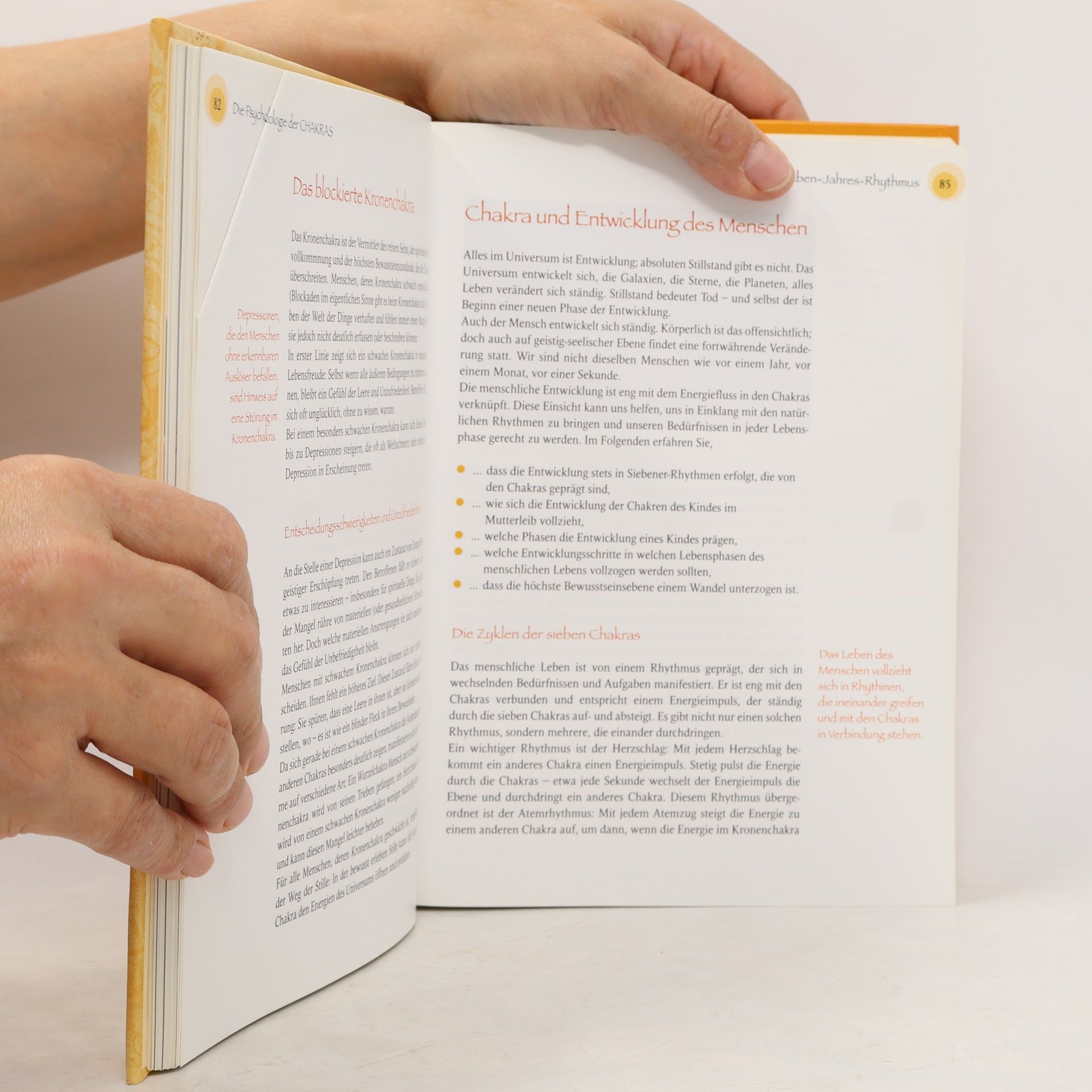 Kalashatra Govinda Chakra-Praxisbuch