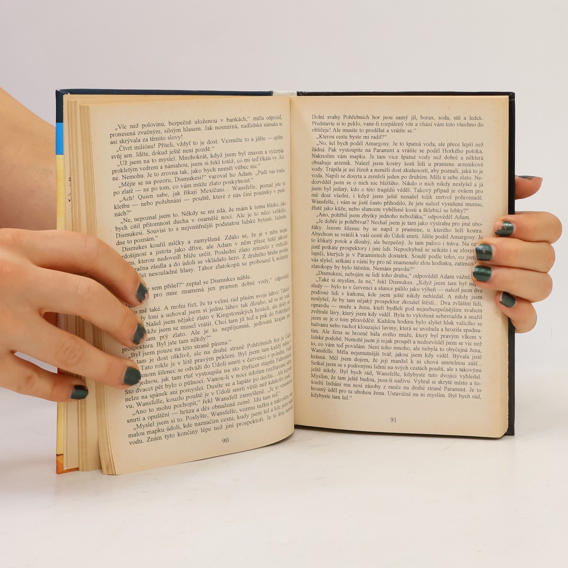 Zane Grey Poutník v pustinách