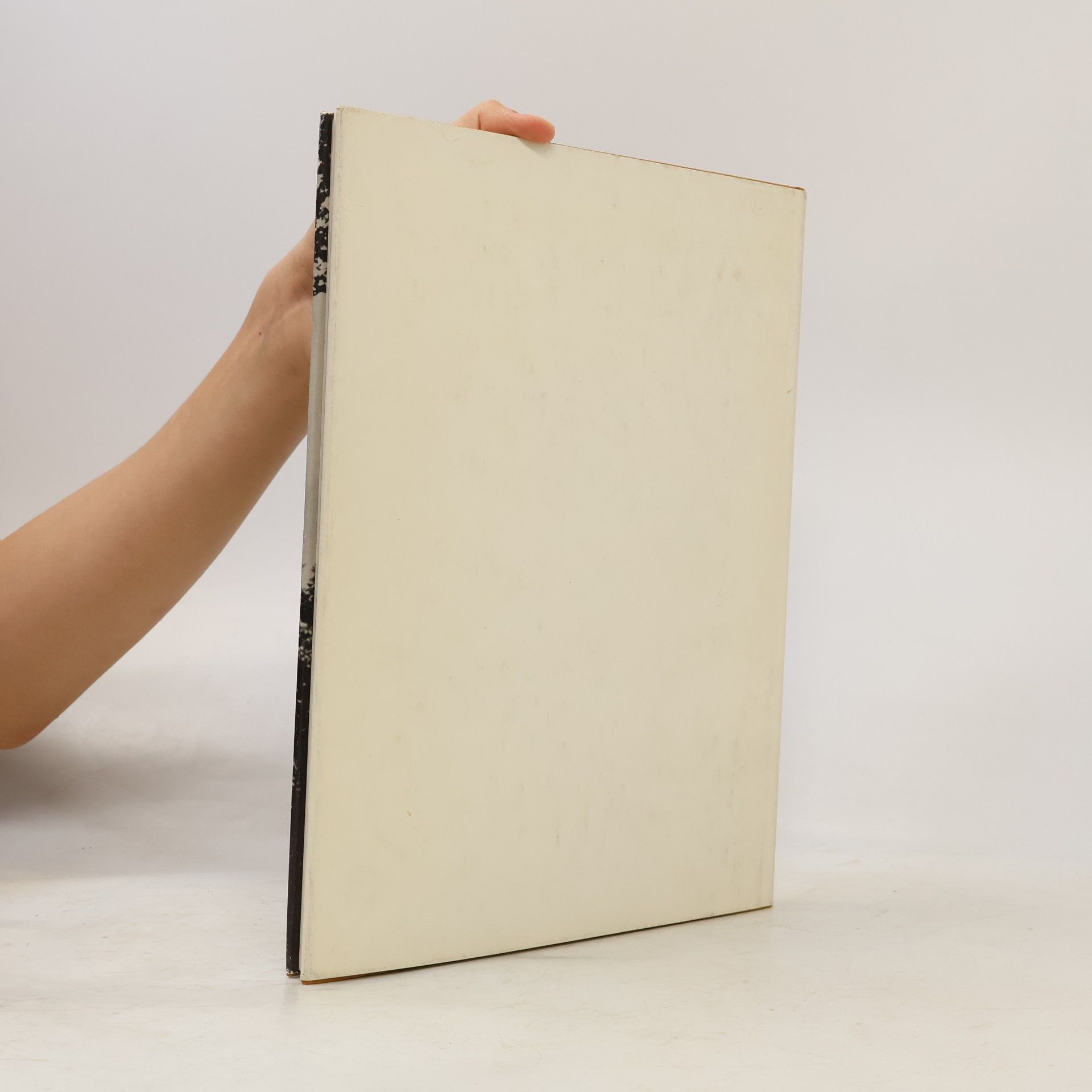 Autorenkollektiv Die schöne Grafschaft. Ein Bilderbuch der Grafschaft Bentheim