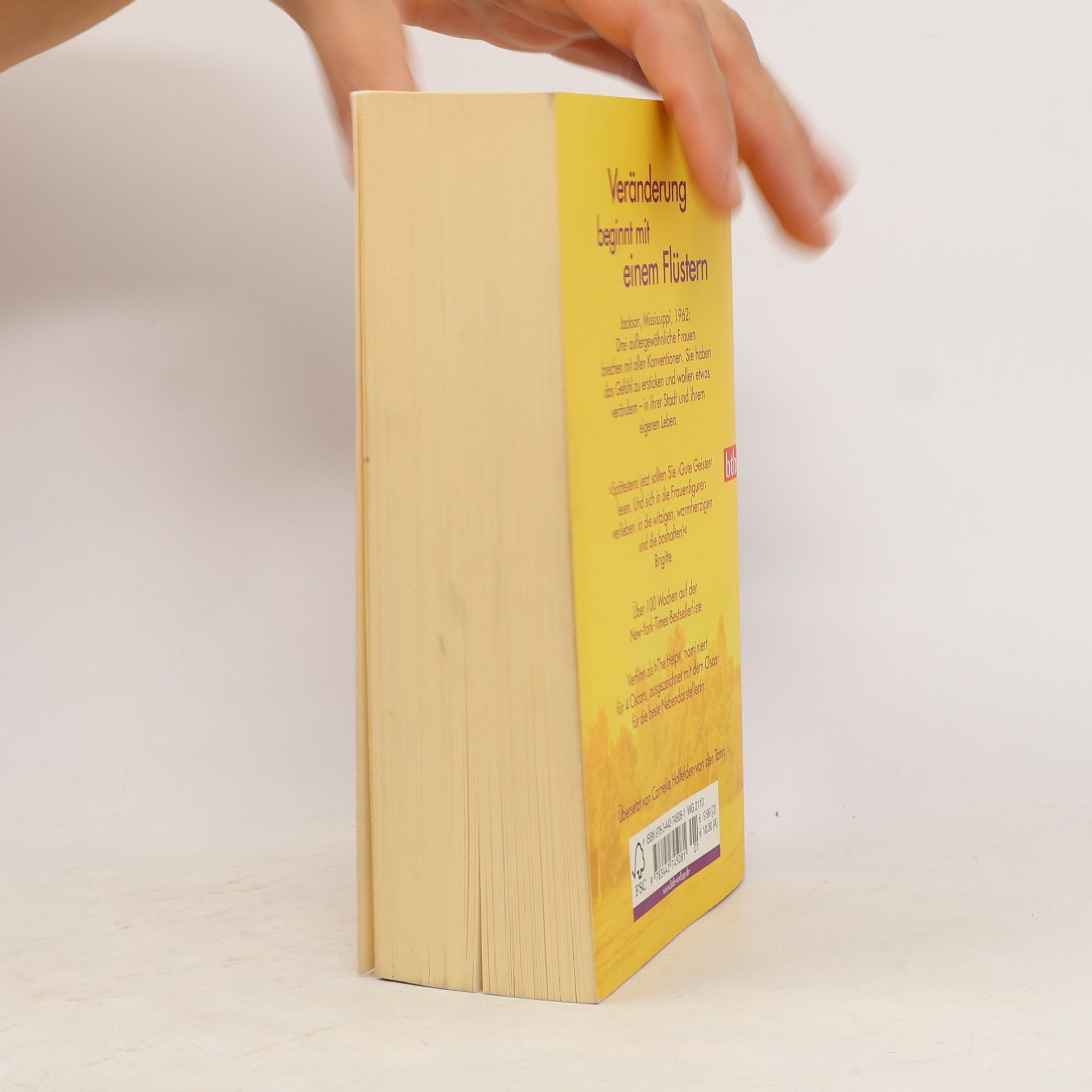 Kathryn Stockett Gute Geister