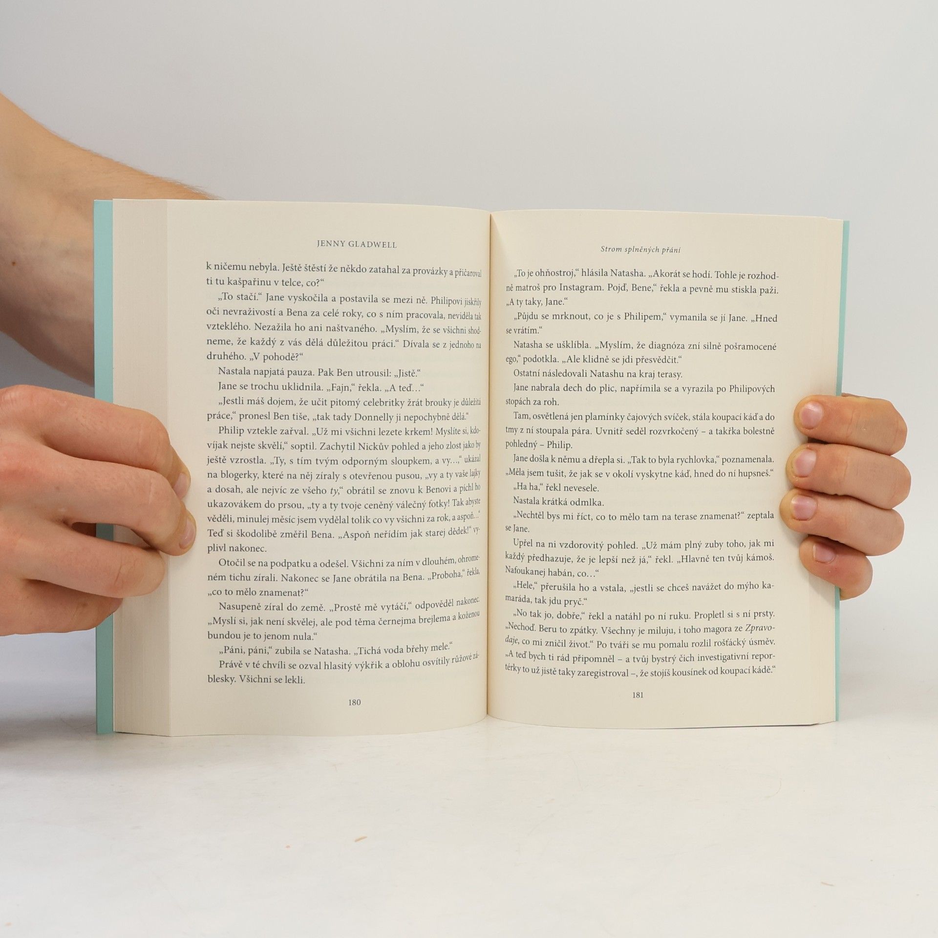 Jenny Gladwell Strom splněných přání