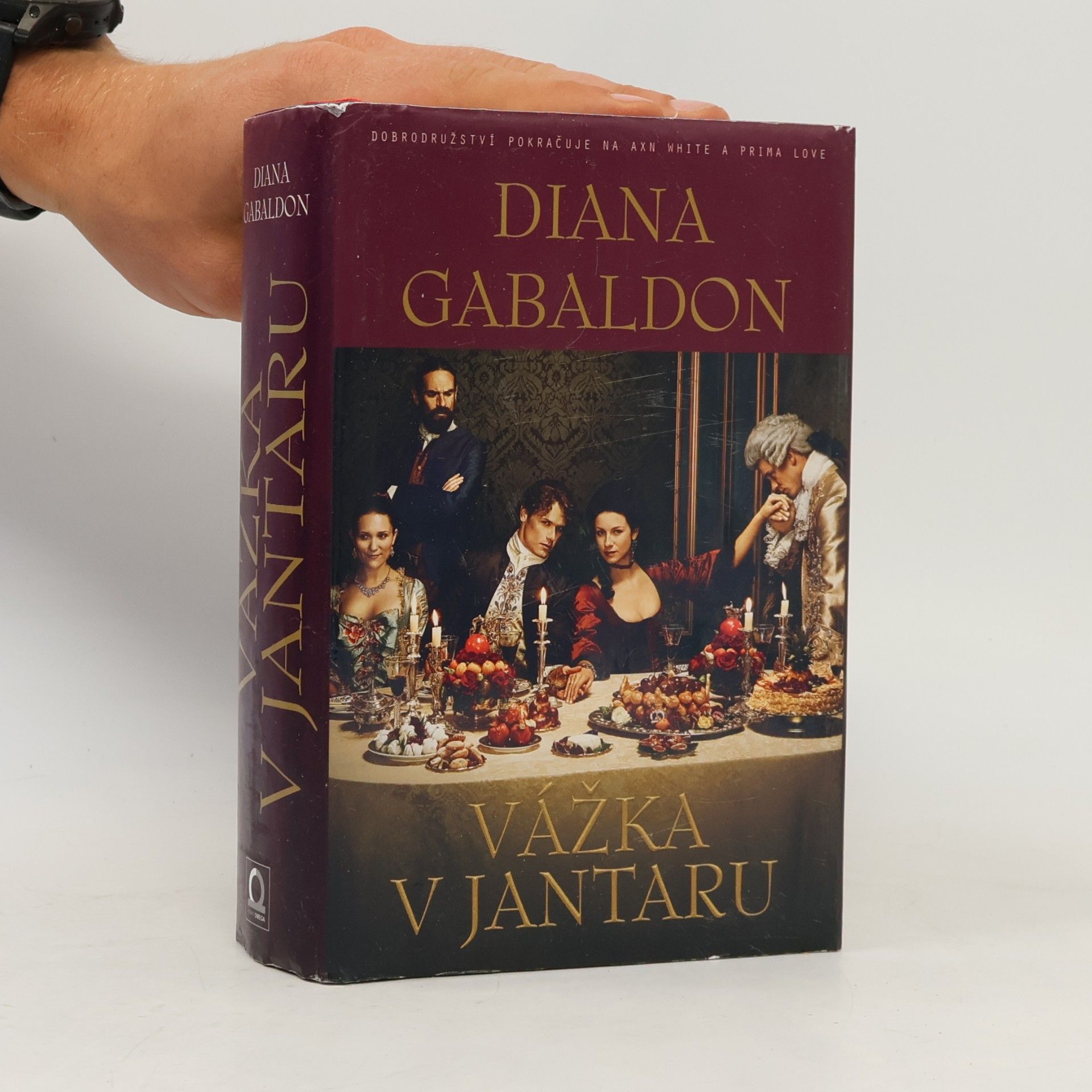Diana Gabaldon Vážka v jantaru