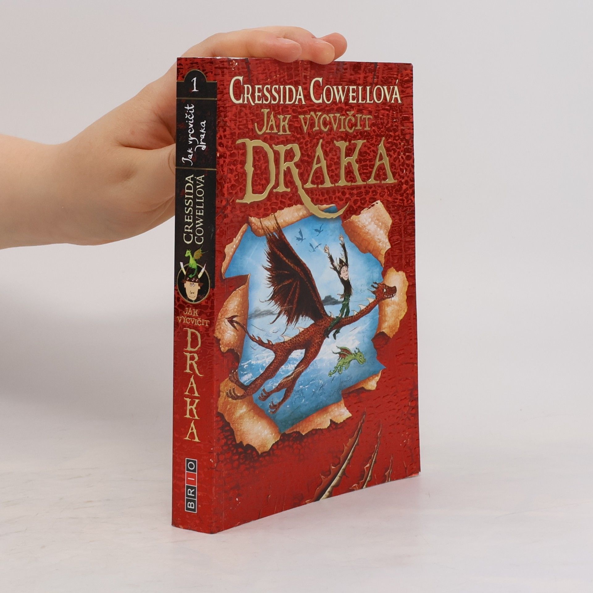 Cressida Cowell Jak vycvičit draka