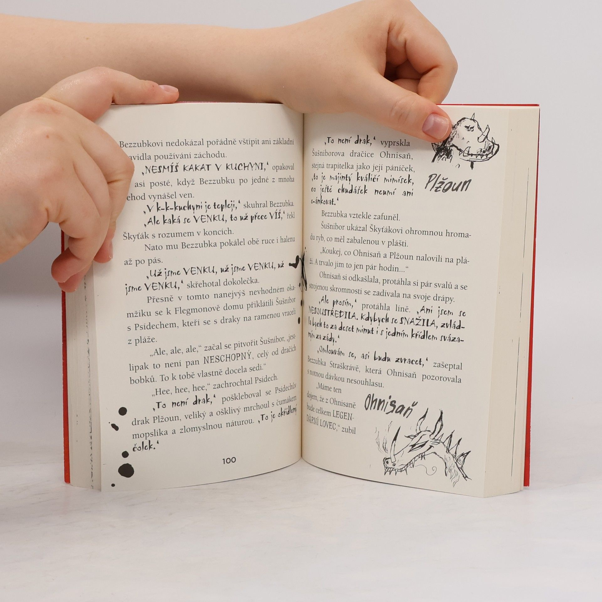 Cressida Cowell Jak vycvičit draka