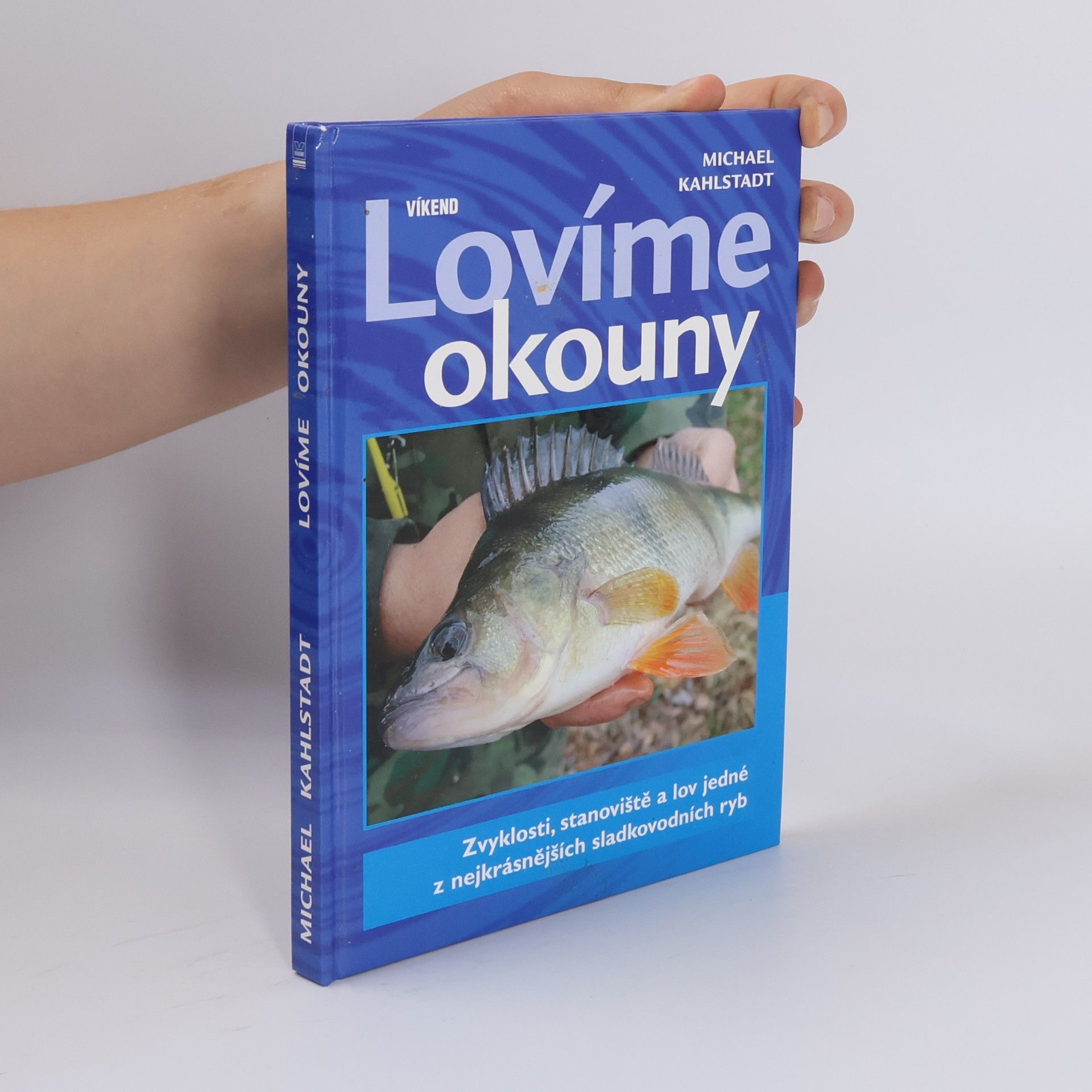 Lovíme okouny