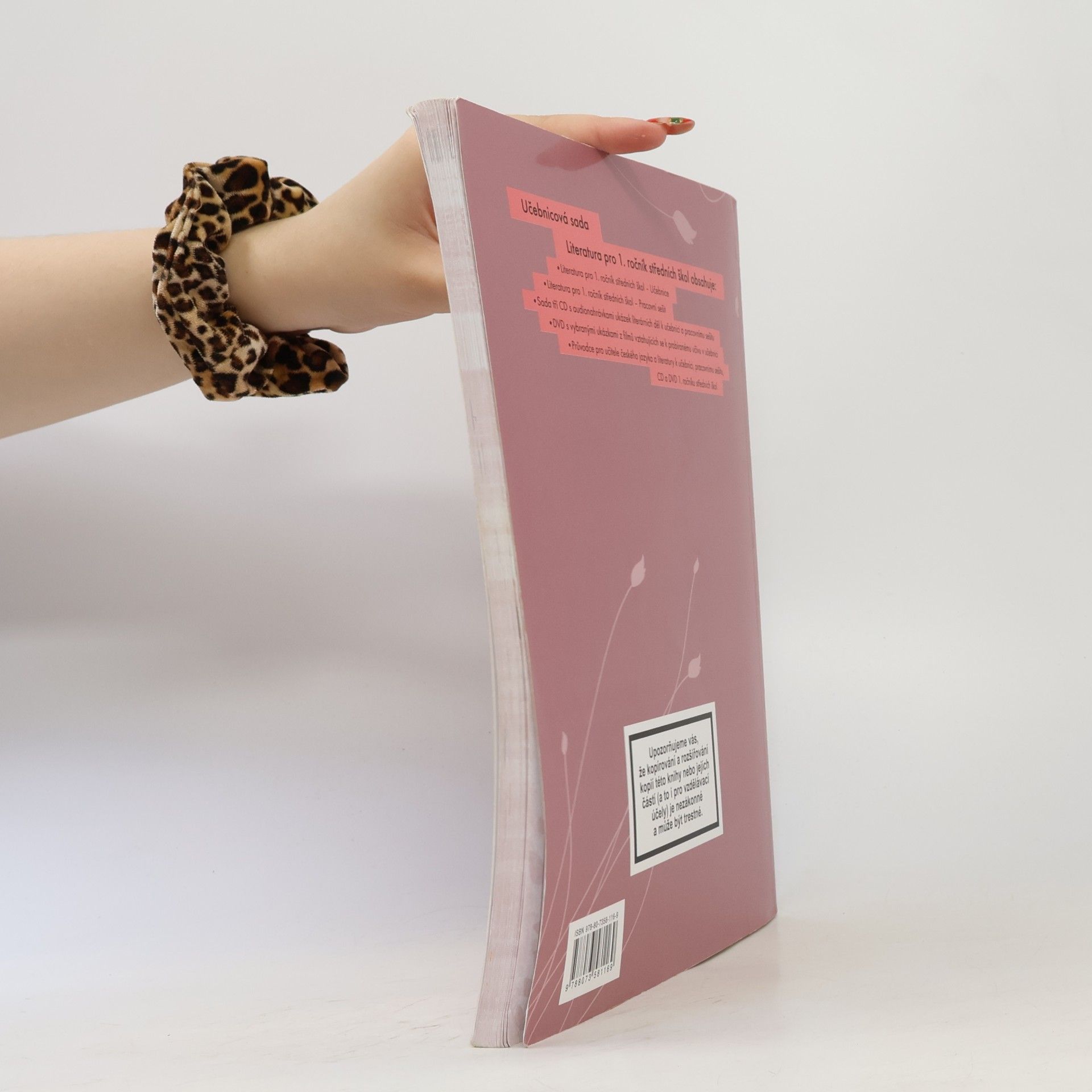 Kolektiv autorů Literatura pro 1. ročník středních škol. Pracovní sešit