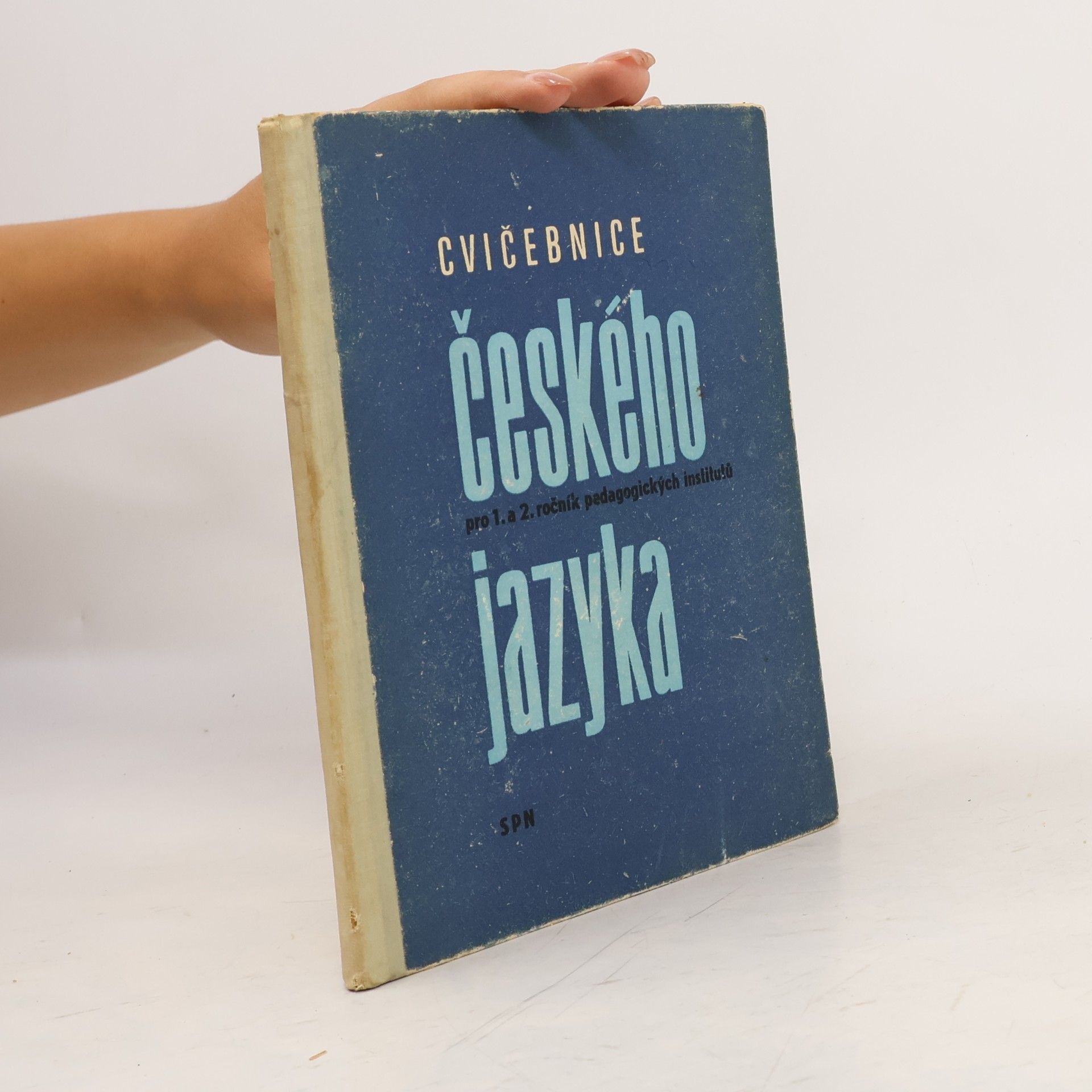Various authors Cvičebnice českého jazyka