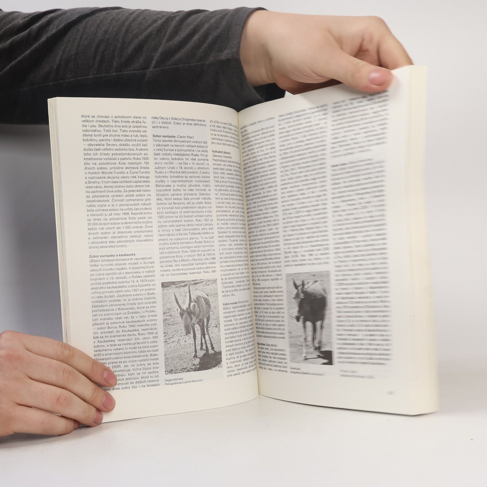 Milan Rajský Magazín poľovníka 1989