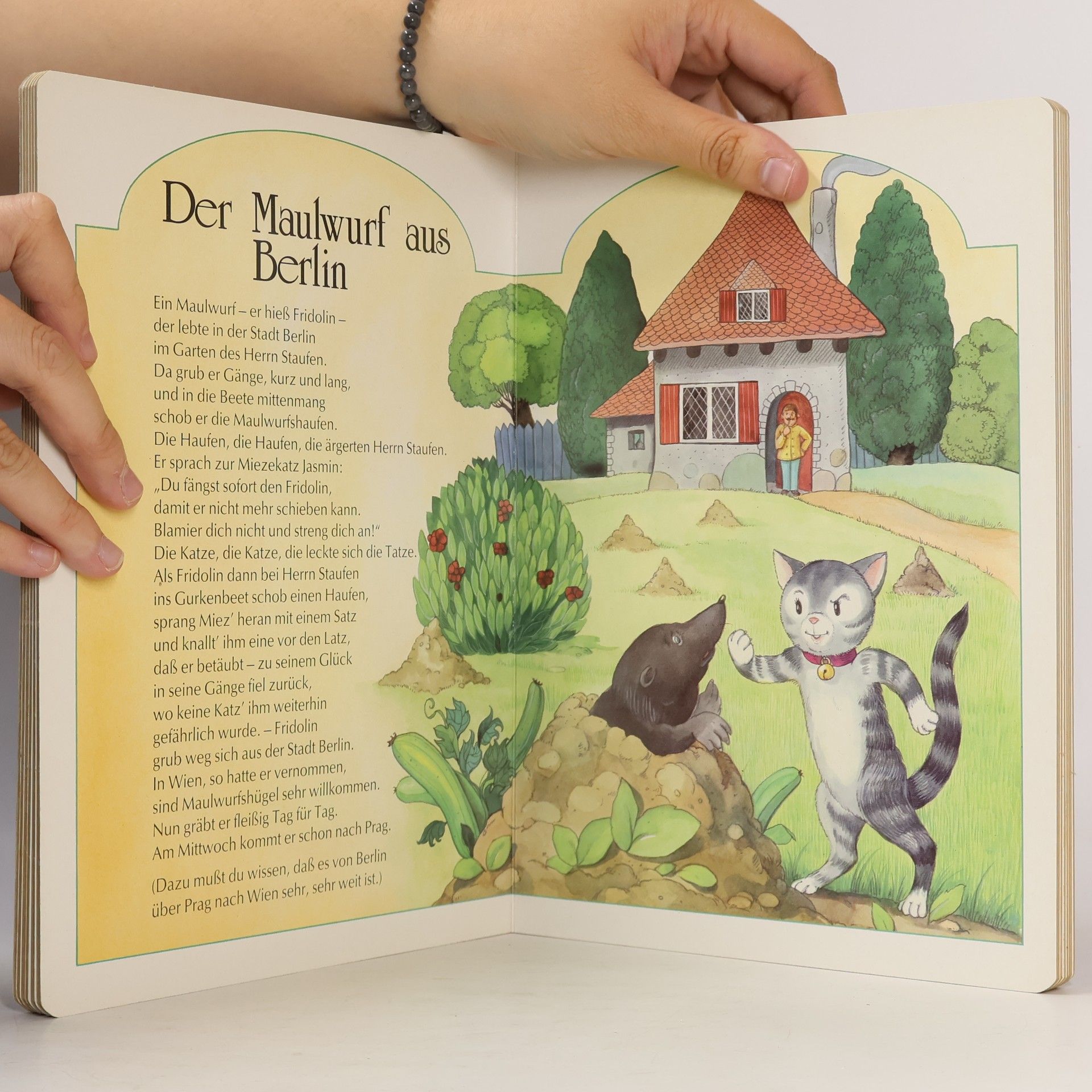 Autorenkollektiv Gutenacht-Geschichten für Jungen und Mädchen