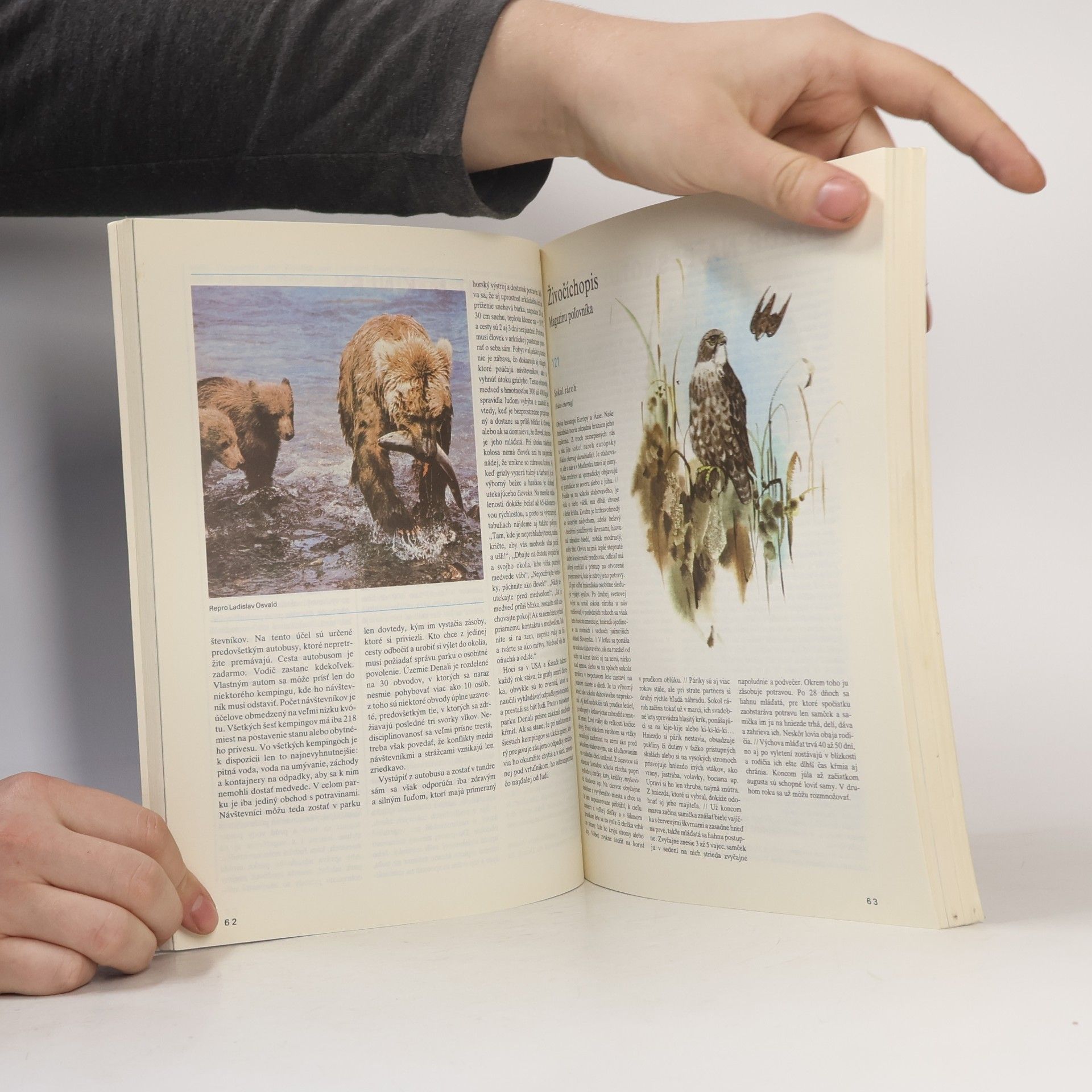 Autorenkollektiv Magazín poĺovníka 1987