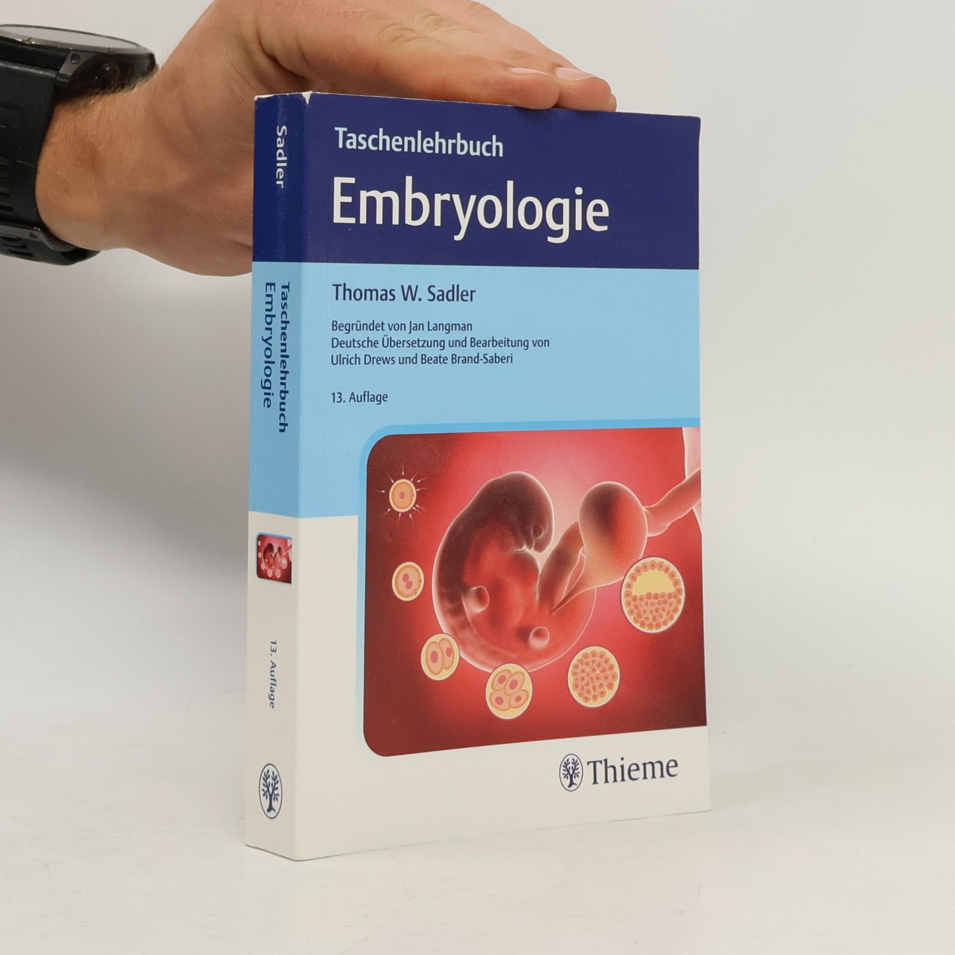 Thomas W. Sadler Taschenlehrbuch Embryologie