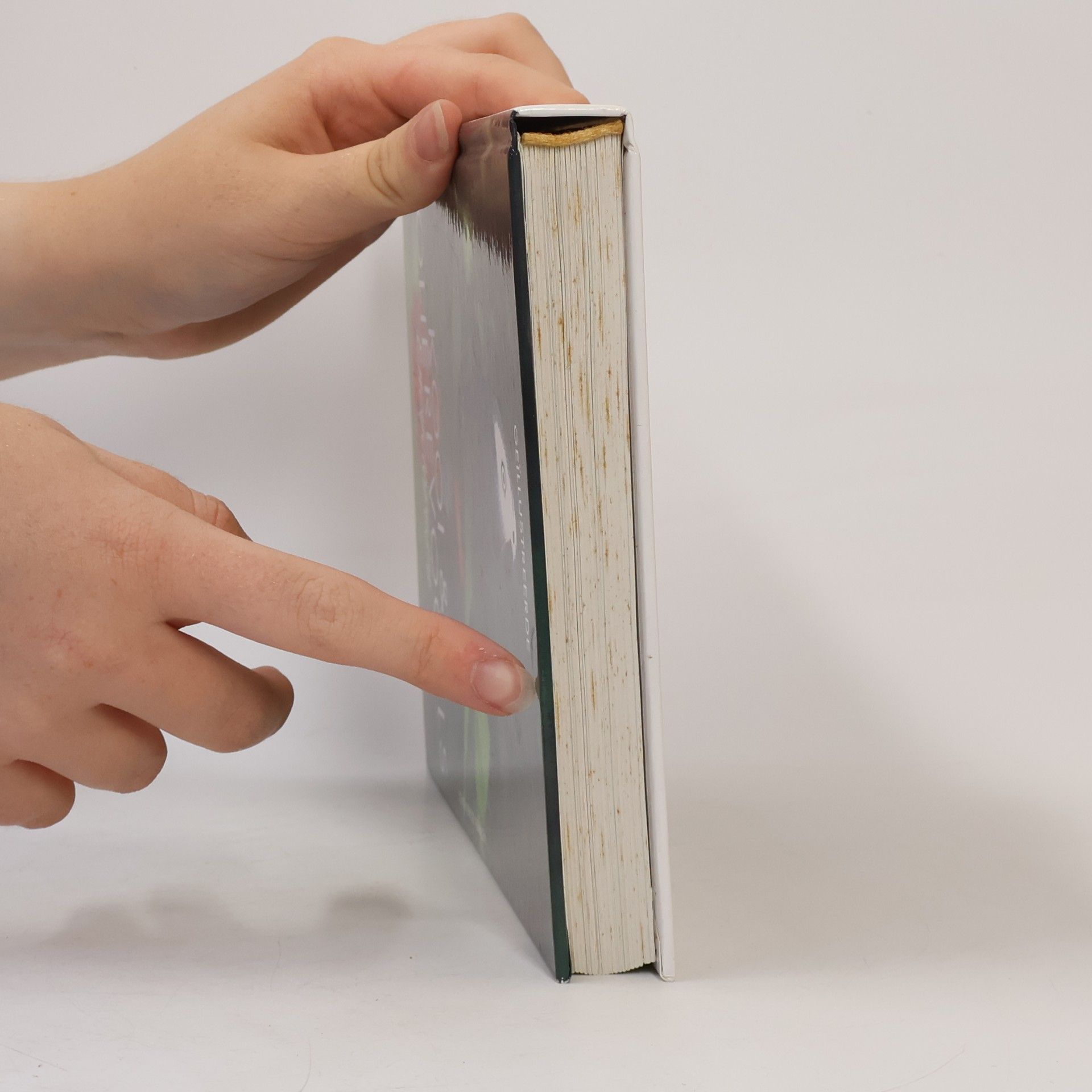 Esther J. J. Verhoef-Verhallen Kooi- en volièrevogels encyclopedie