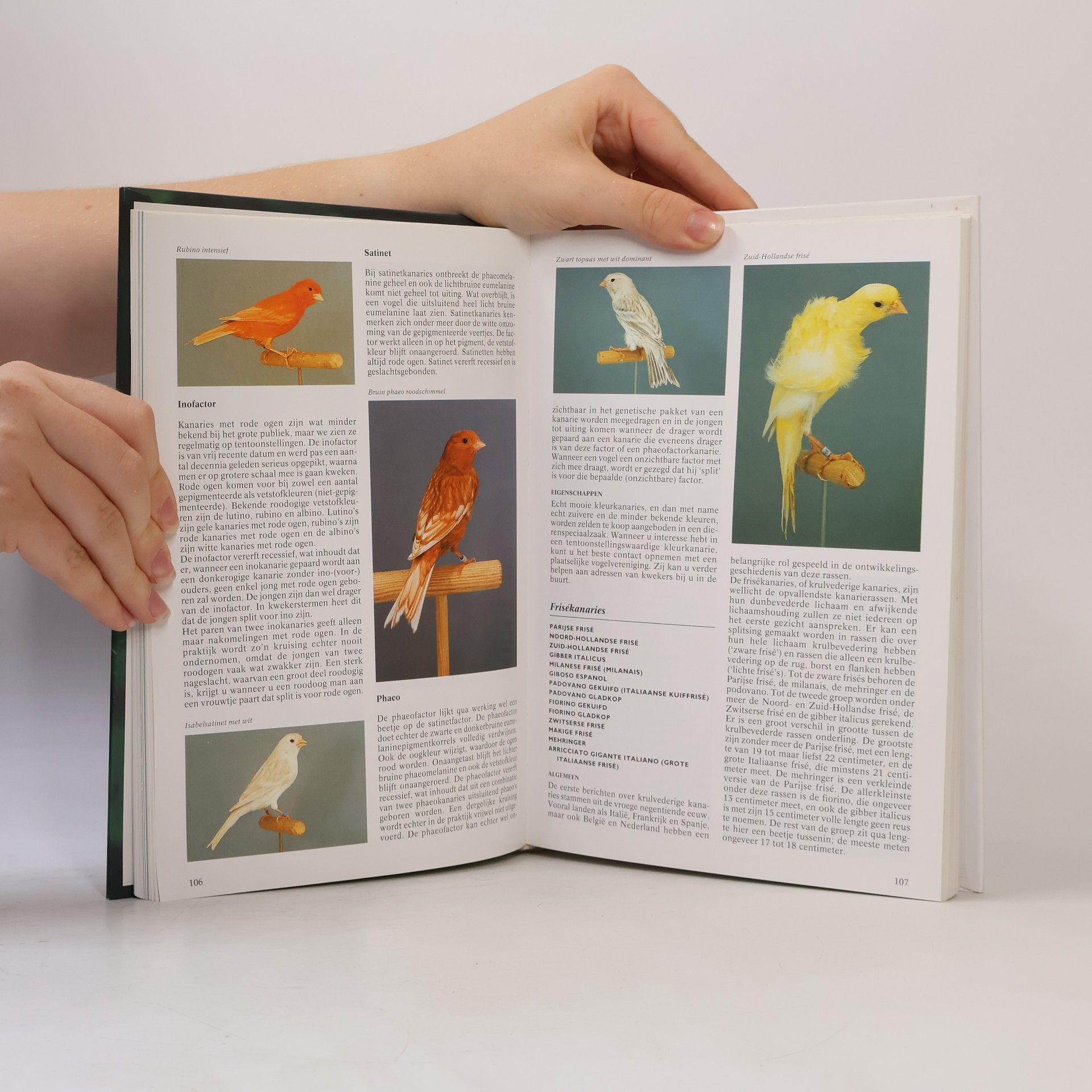 Esther J. J. Verhoef-Verhallen Kooi- en volièrevogels encyclopedie