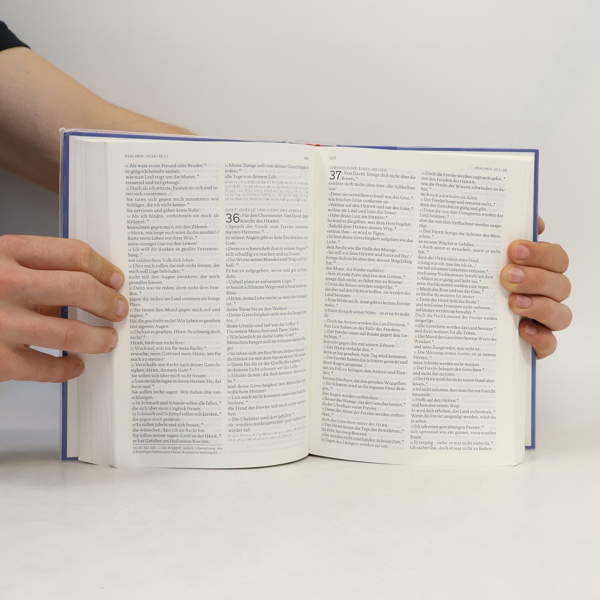Autorenkollektiv Die Bibel - Einheitsübersetzung
