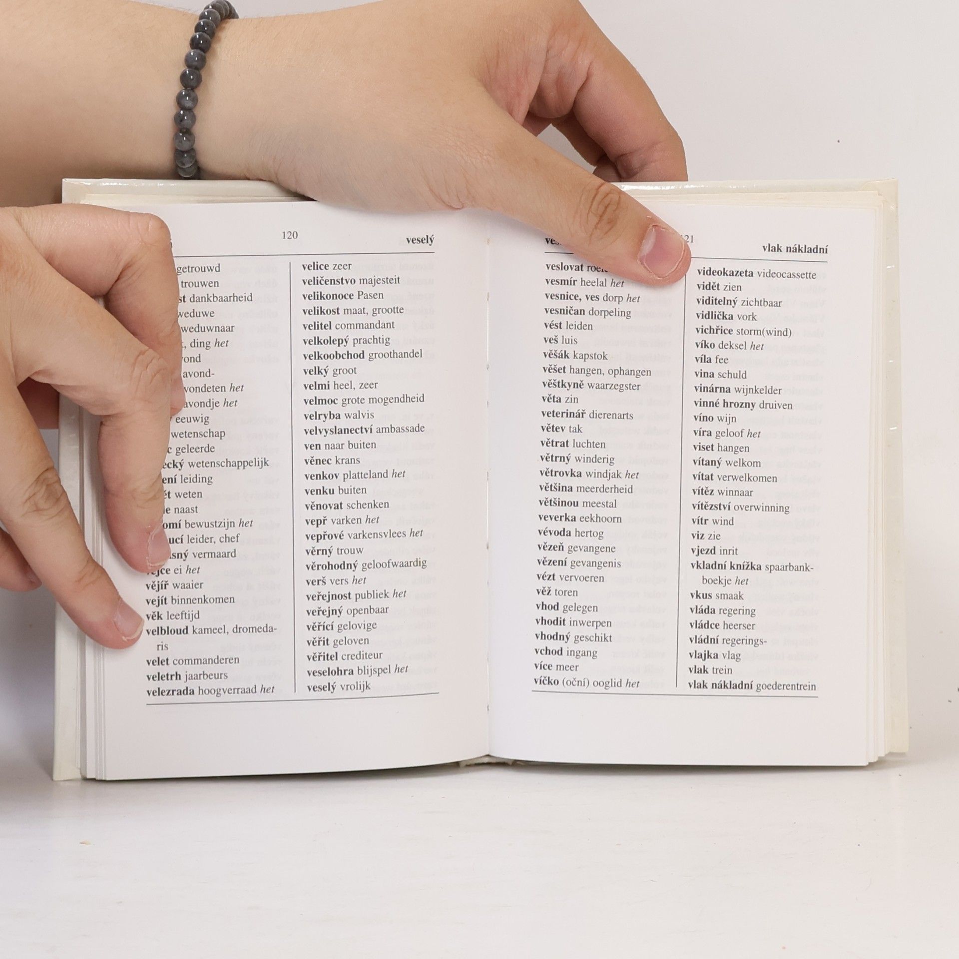 Přemysl Janota Kapesní nizozemský slovník = Tsjechisch zakwoordenboek