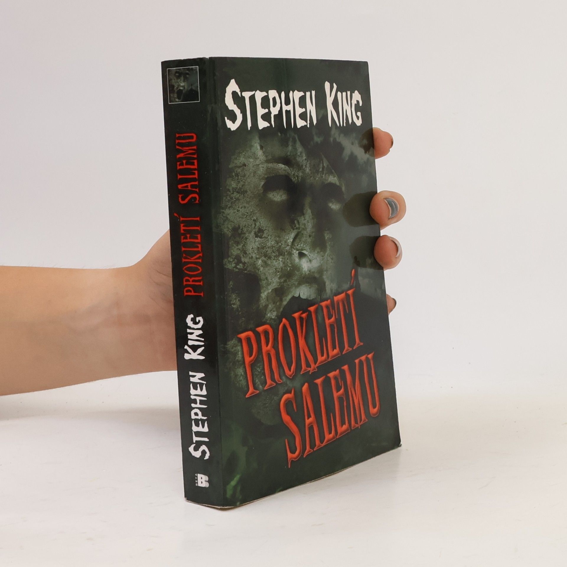 Stephen King Prokletí Salemu