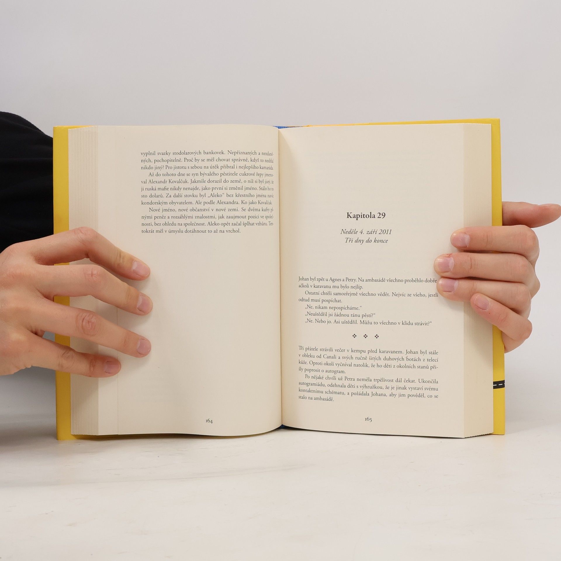 Jonas Jonasson Prorokyně a hlupák