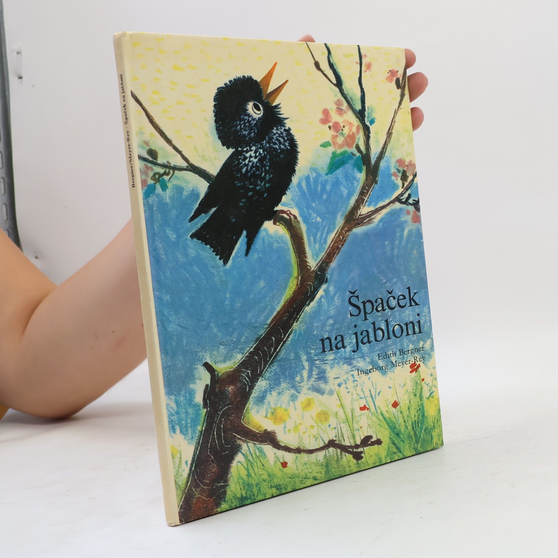 Kolektiv autorů Špaček na jabloni