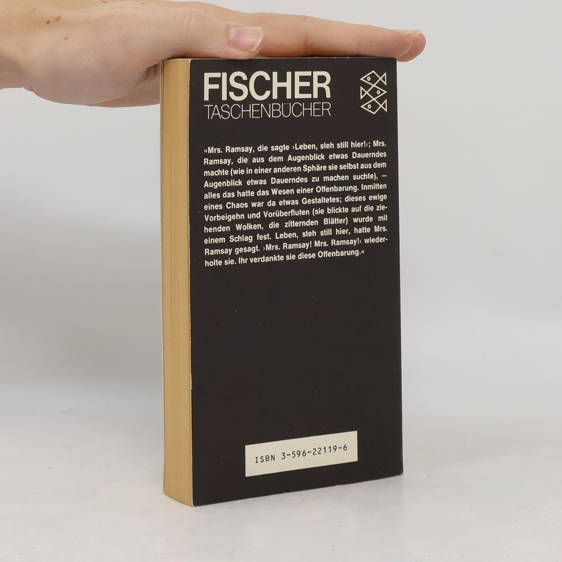 Virginia Woolf Die Fahrt zum Leuchtturm