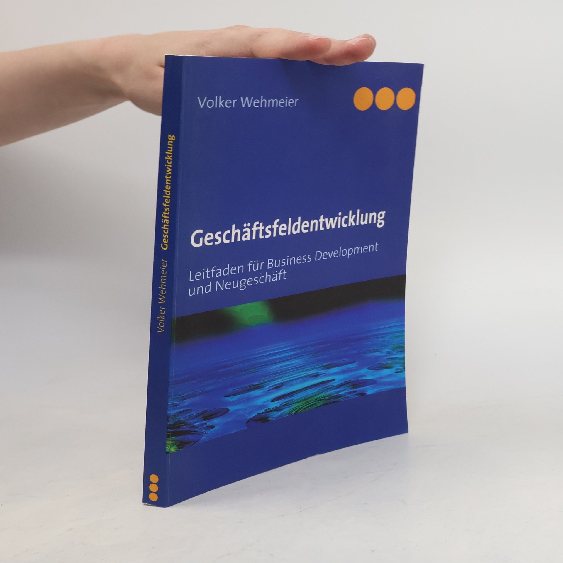 Volker Wehmeier Geschäftsfeldentwicklung