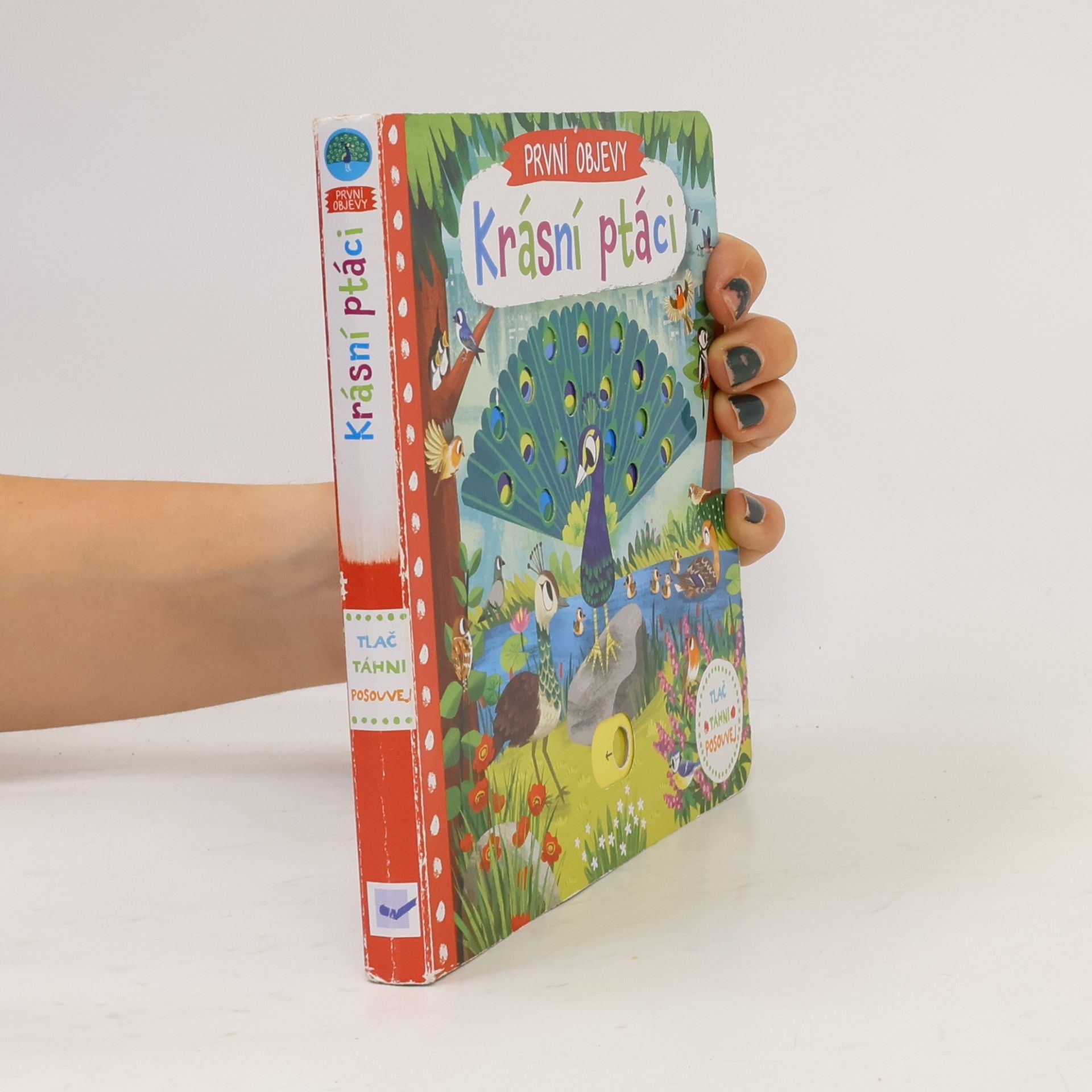 Chorkung První objevy: Krásní ptáci