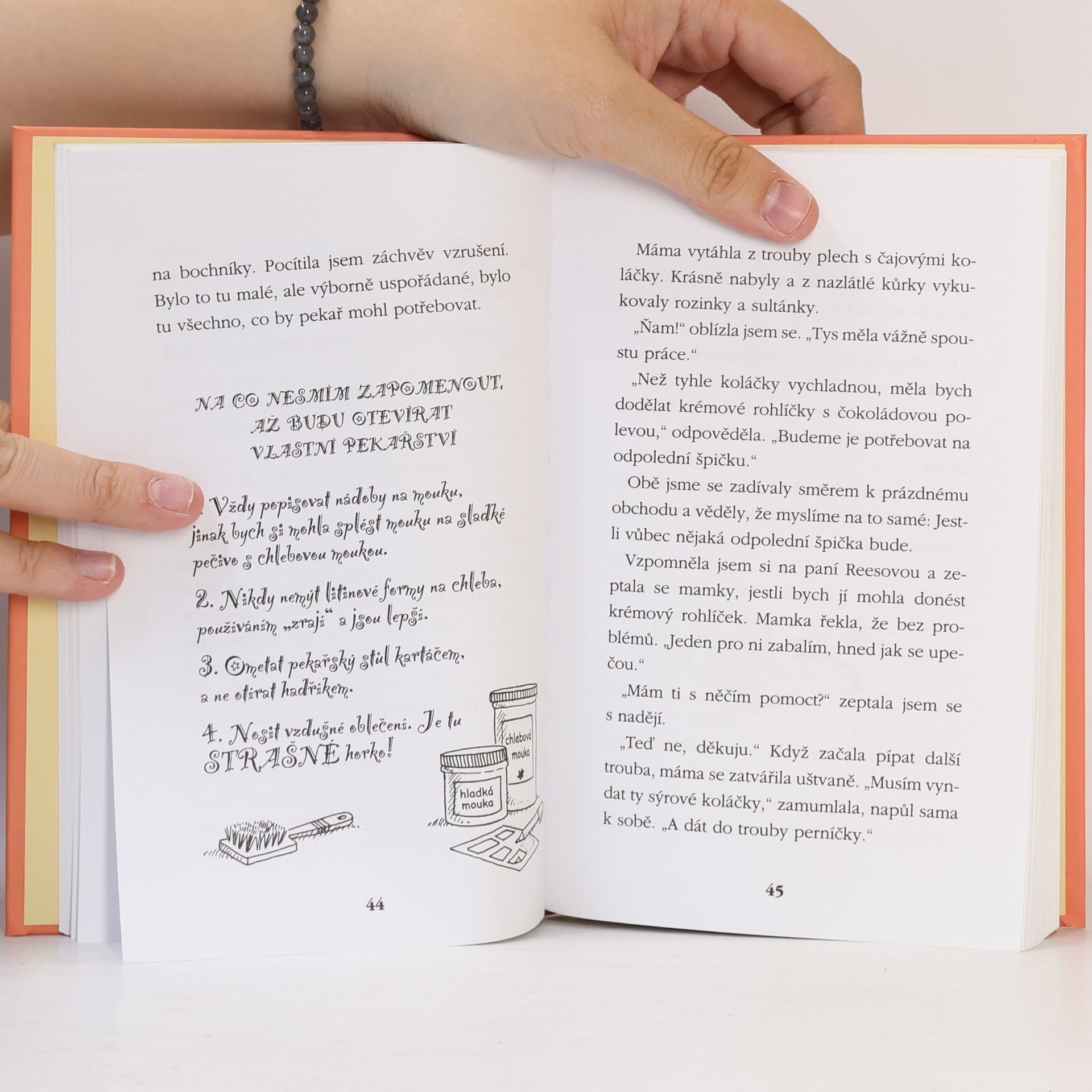 Linda Champan Přátelství plné koláčů : cukr & koření