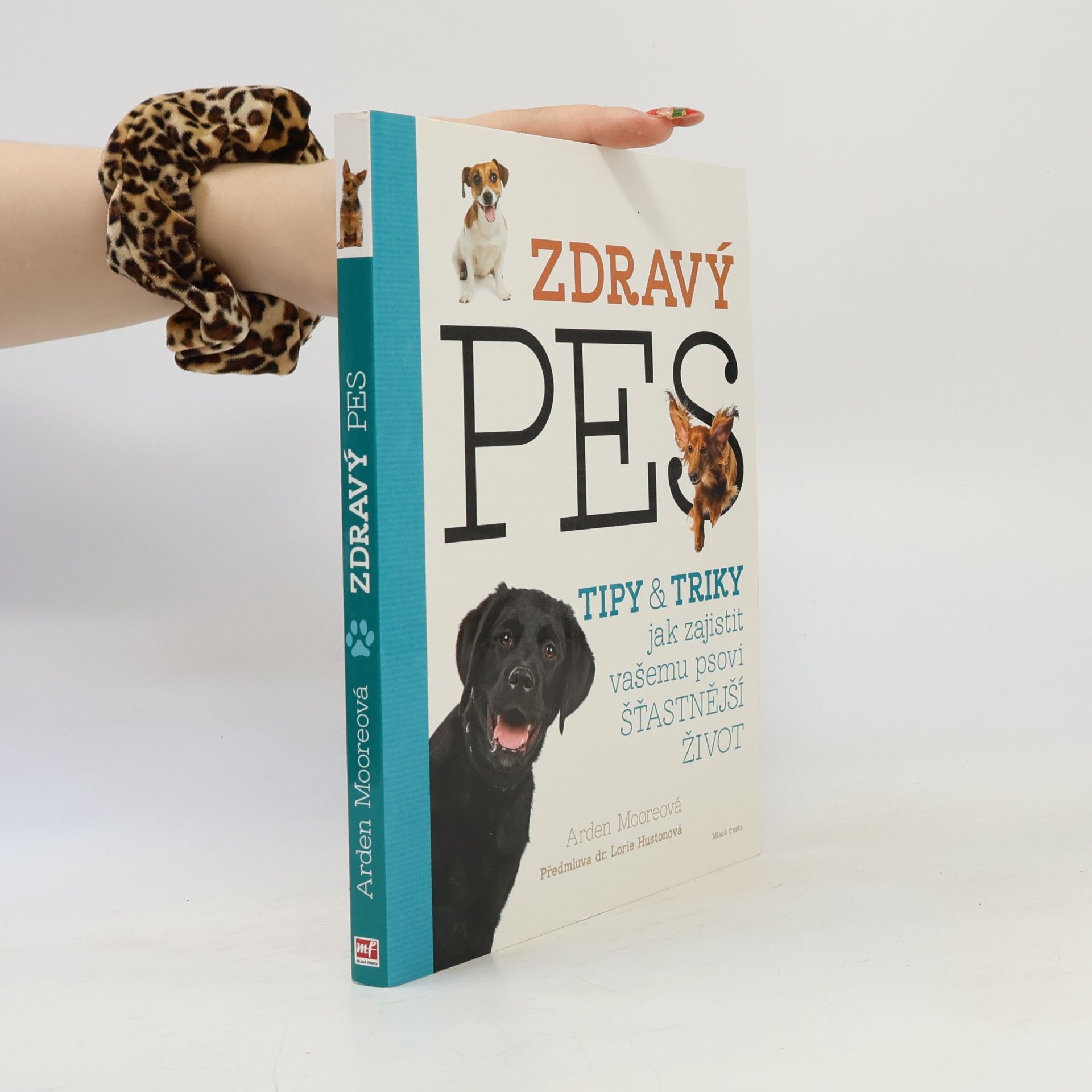 Arden Moore Zdravý pes: Tipy & triky jak zajistit vašemu psovi delší, zdravější a šťastnější život