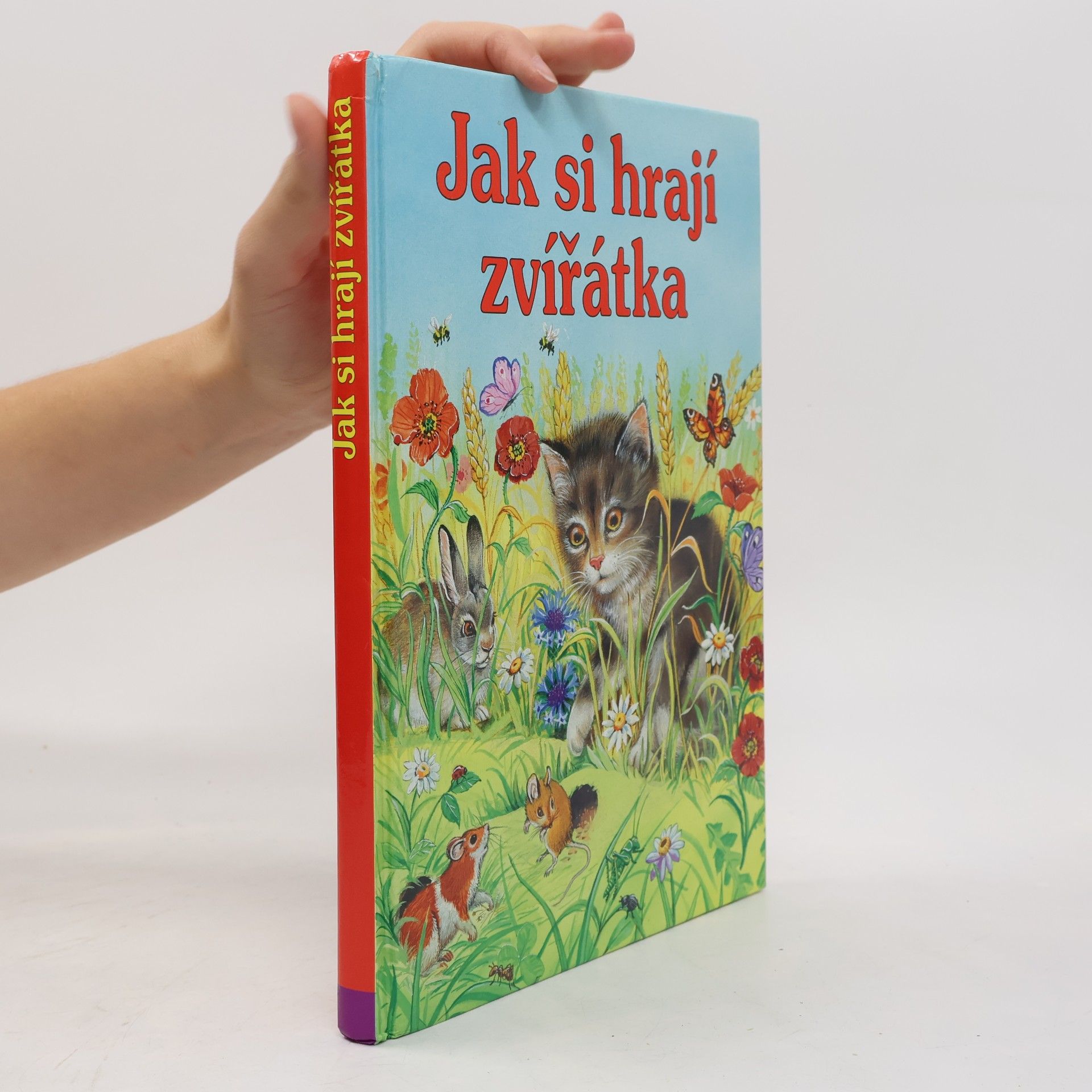 Collectif d'auteurs Jak si hrají zvířátka