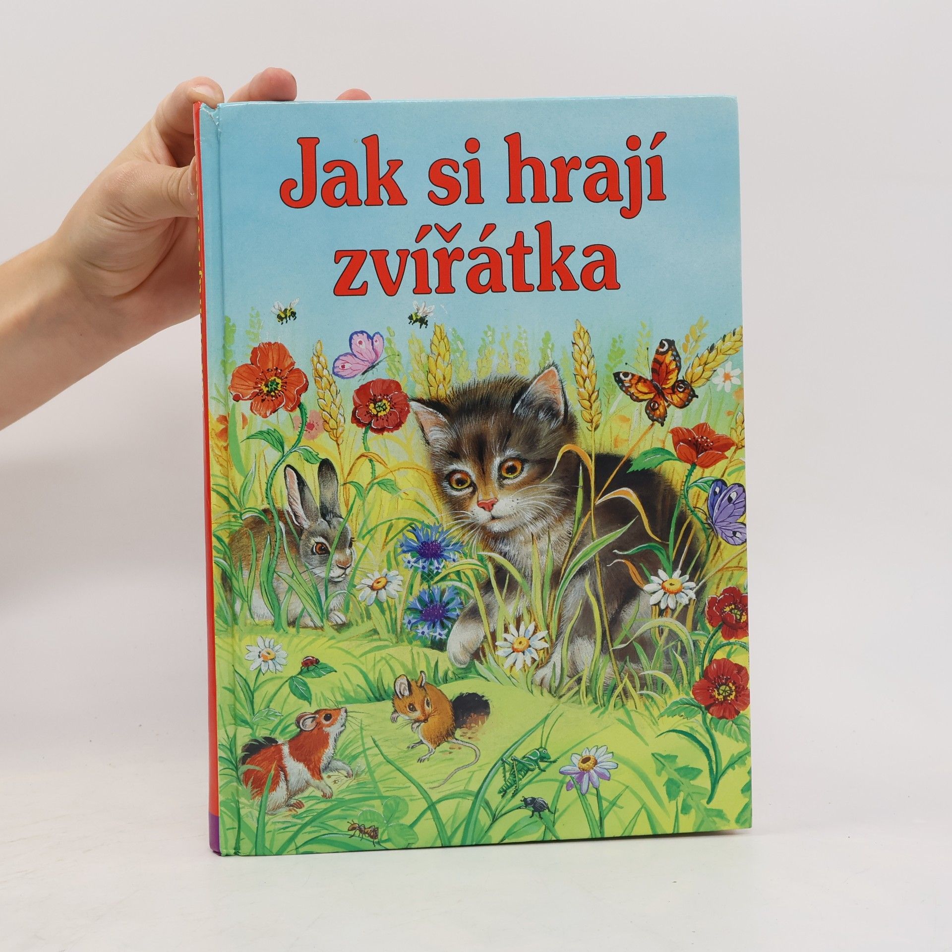 Collectif d'auteurs Jak si hrají zvířátka
