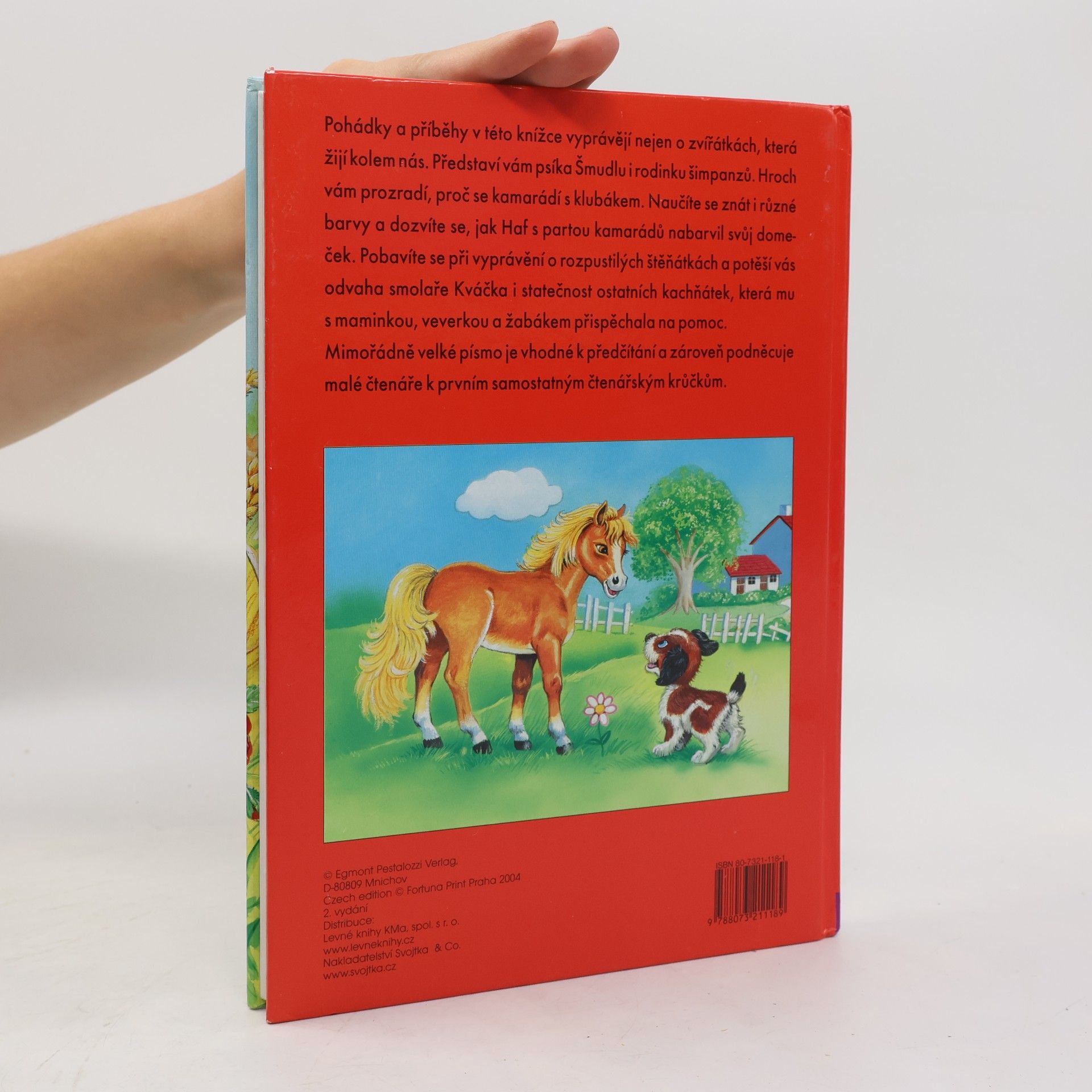 Collectif d'auteurs Jak si hrají zvířátka