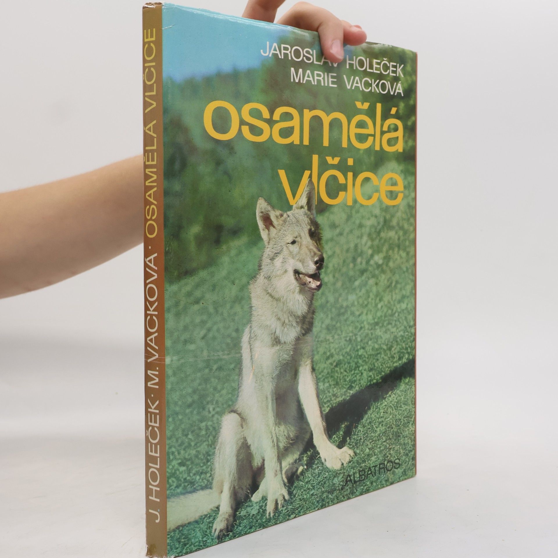 Jaroslav Holeček Osamělá vlčice