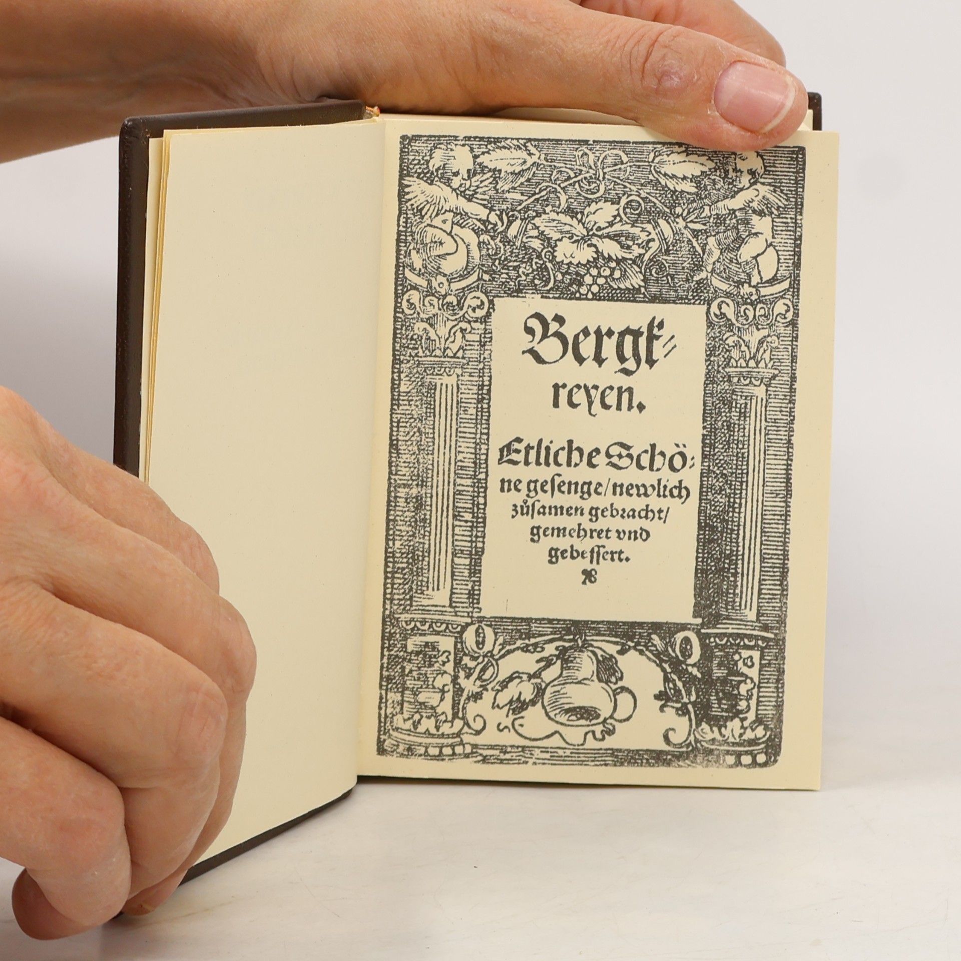 Auteurscollectief Das Weimarer Liederbuch