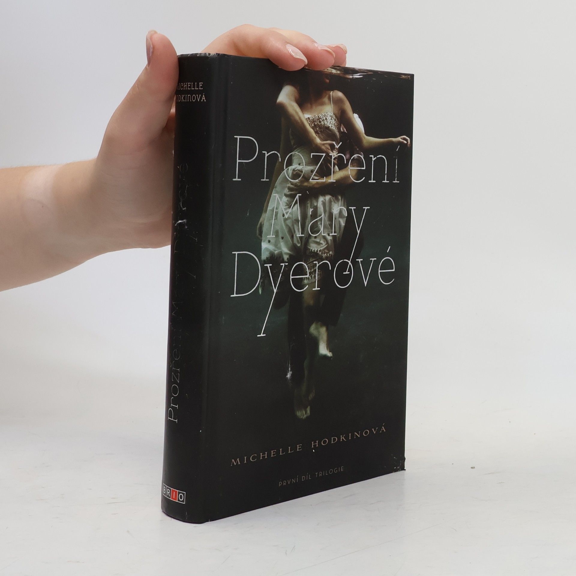 Michelle Hodkin Prozření Mary Dyerové