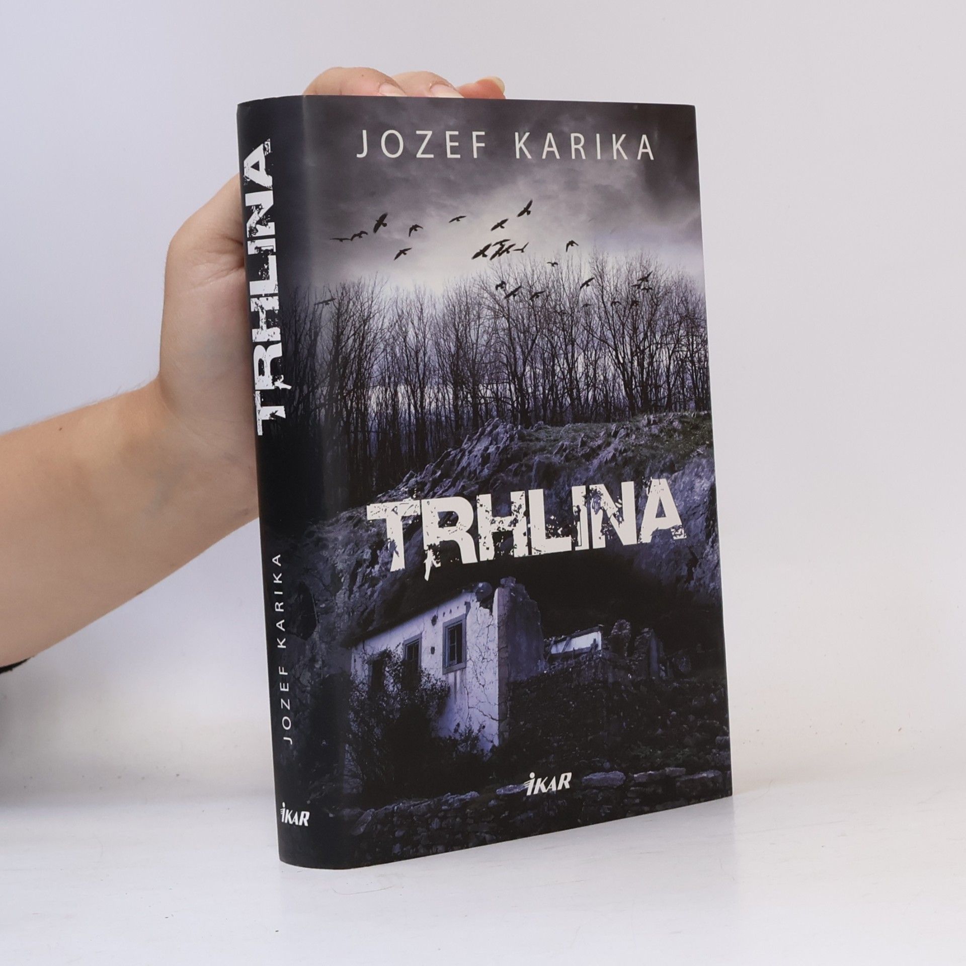 Jozef Karika Trhlina