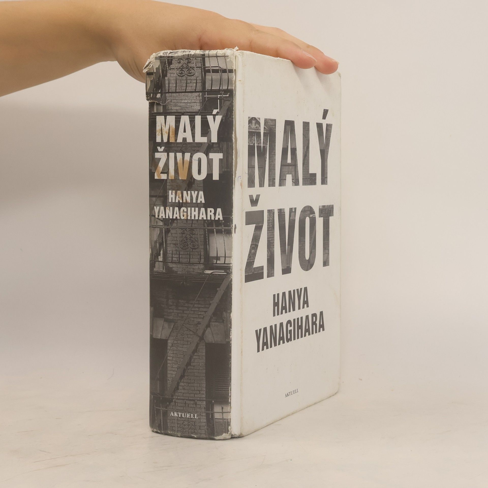 Hanya Yanagihara Malý život