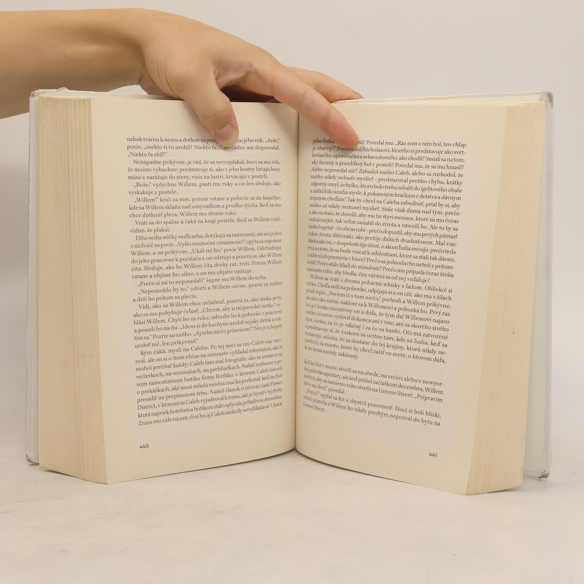 Hanya Yanagihara Malý život