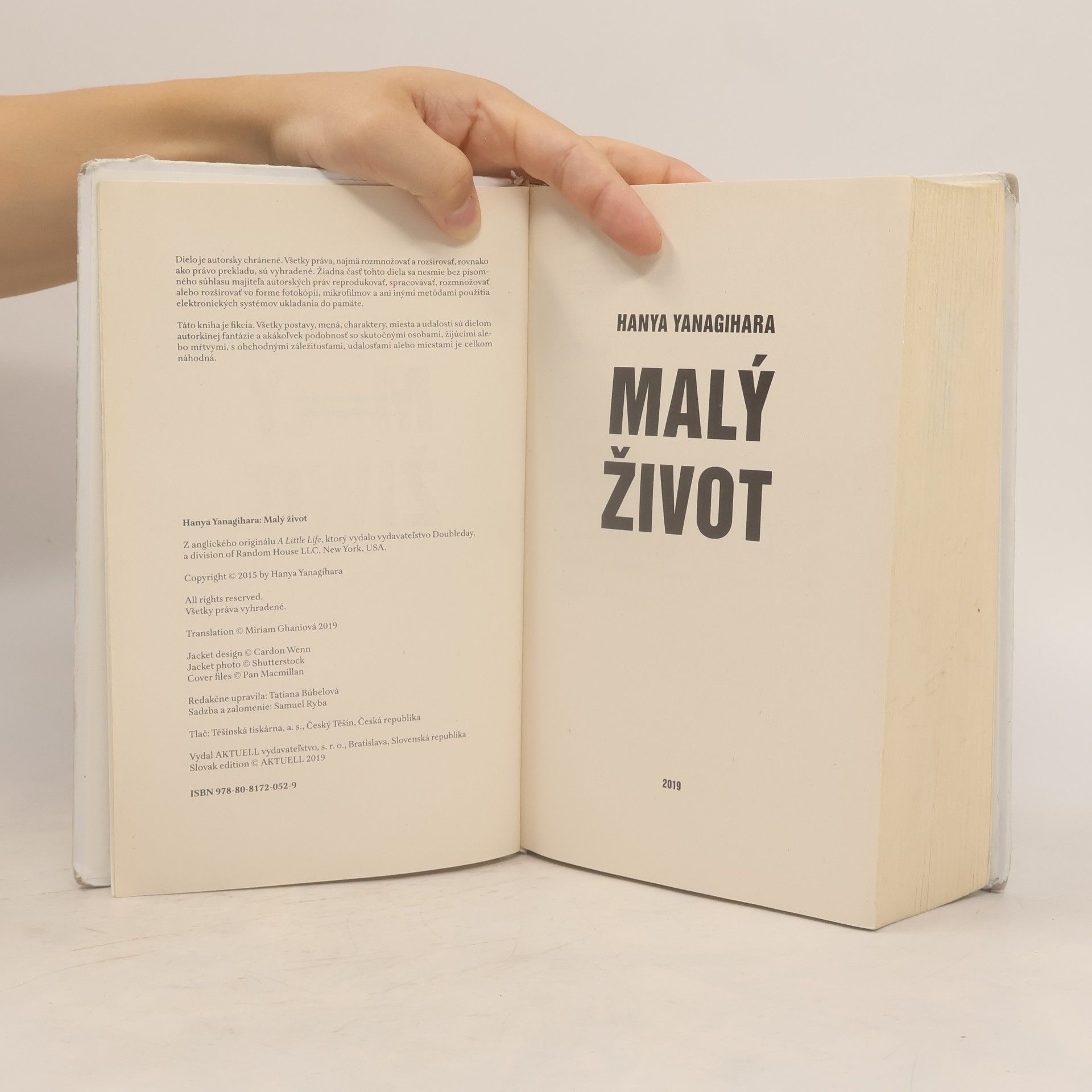 Hanya Yanagihara Malý život