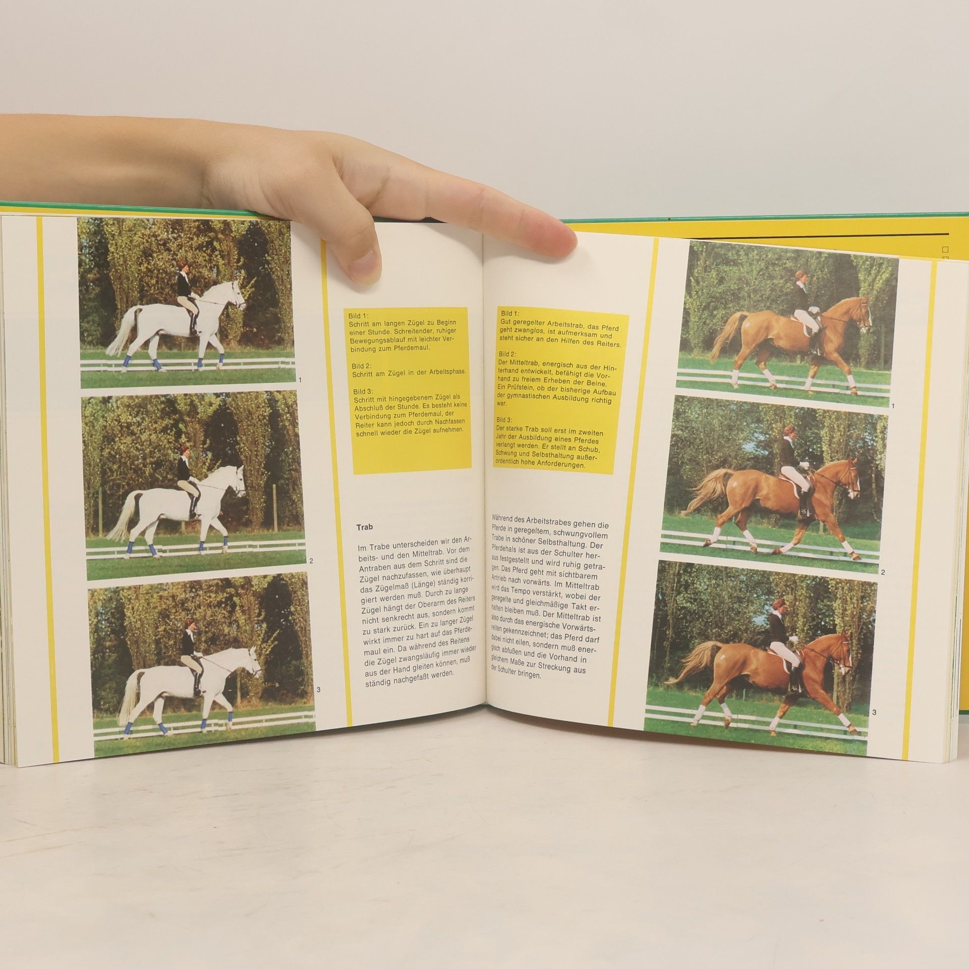 Albert Brandl modernes reiten, schritt, trab, galopp