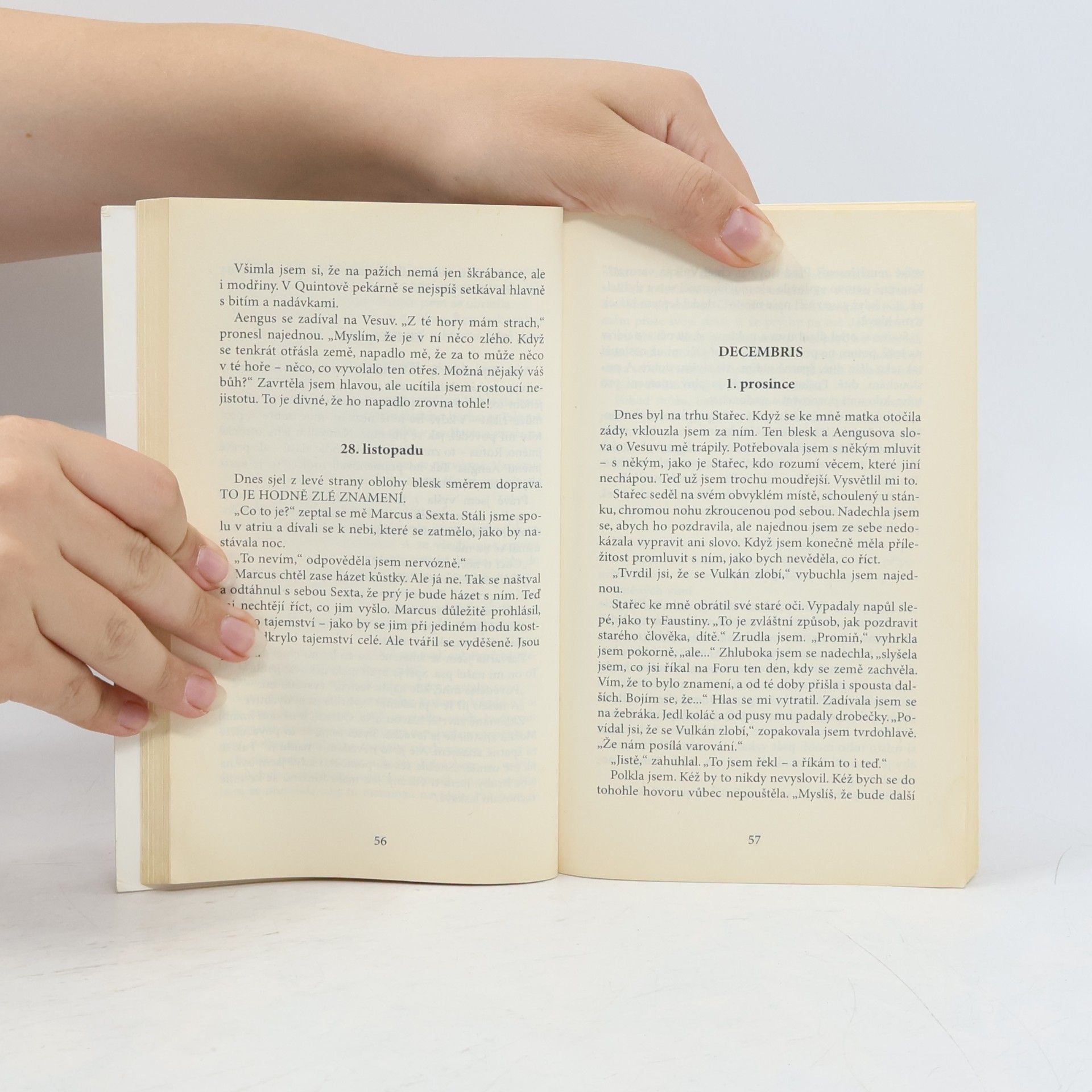 Sue Reid Pompeje : [deník dívky z let 78-79 n. l.]
