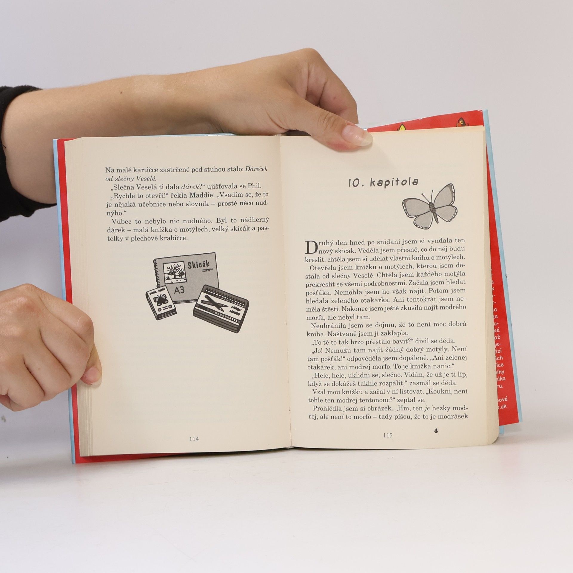 Jacqueline Wilson Motýlí klub