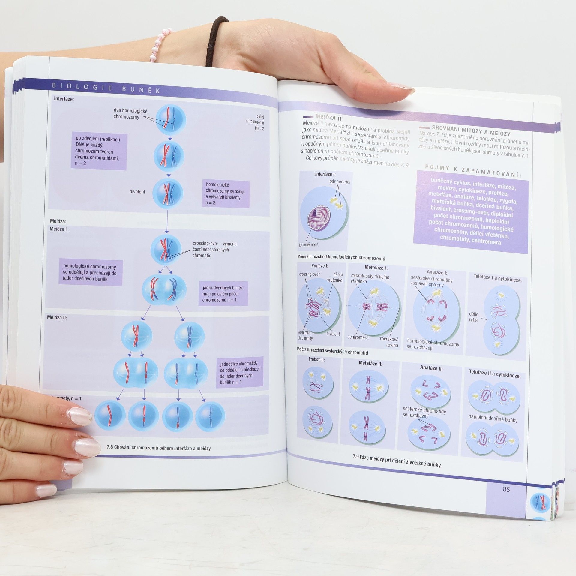 Radka Závodská Biologie buněk: Základy cytologie, bakteriologie, virologie