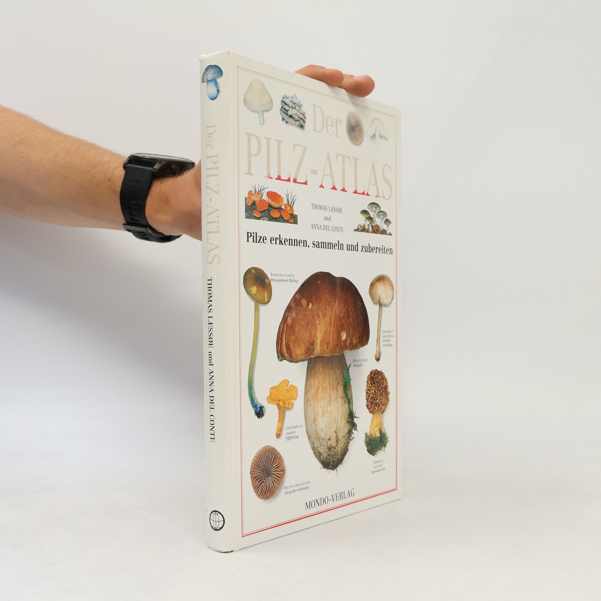Der Pilz-Atlas