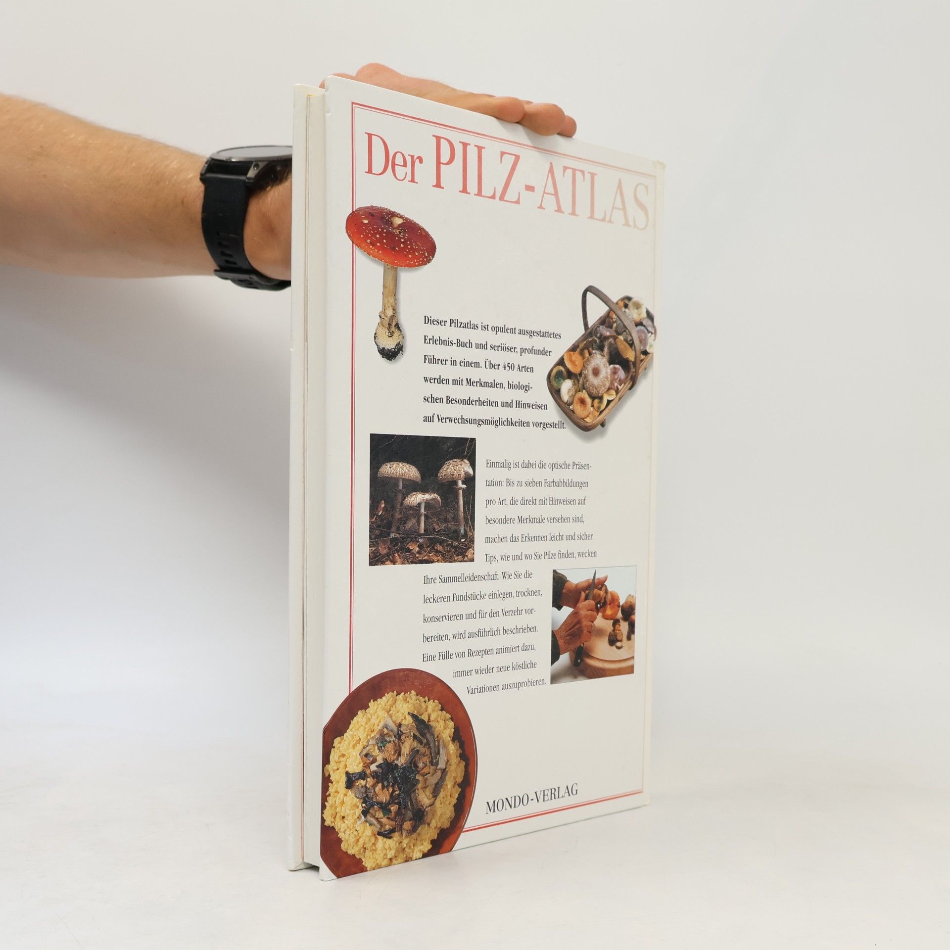 Thomas Lessøe Der Pilz-Atlas