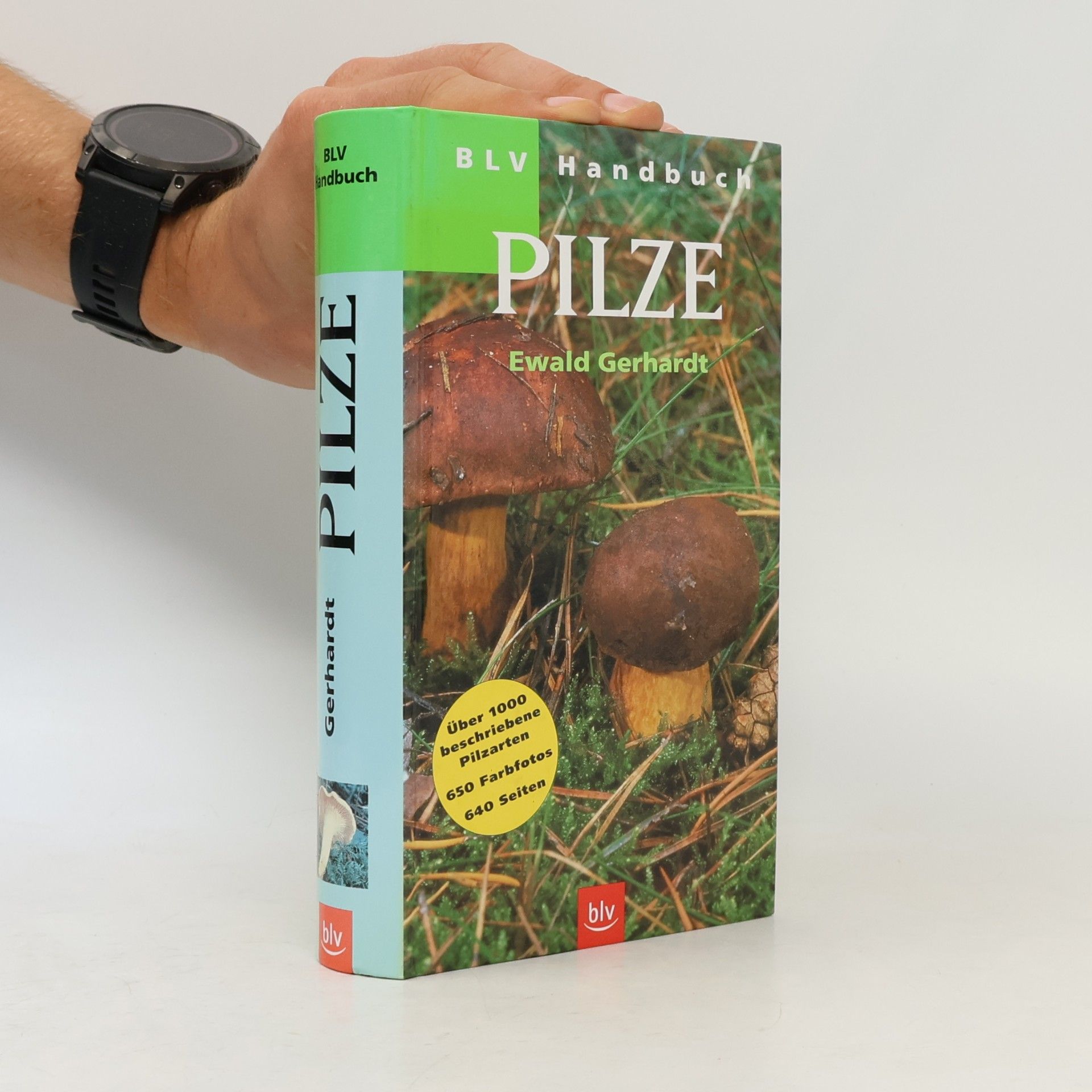 Ewald Gerhardt BLV-Handbuch Pilze