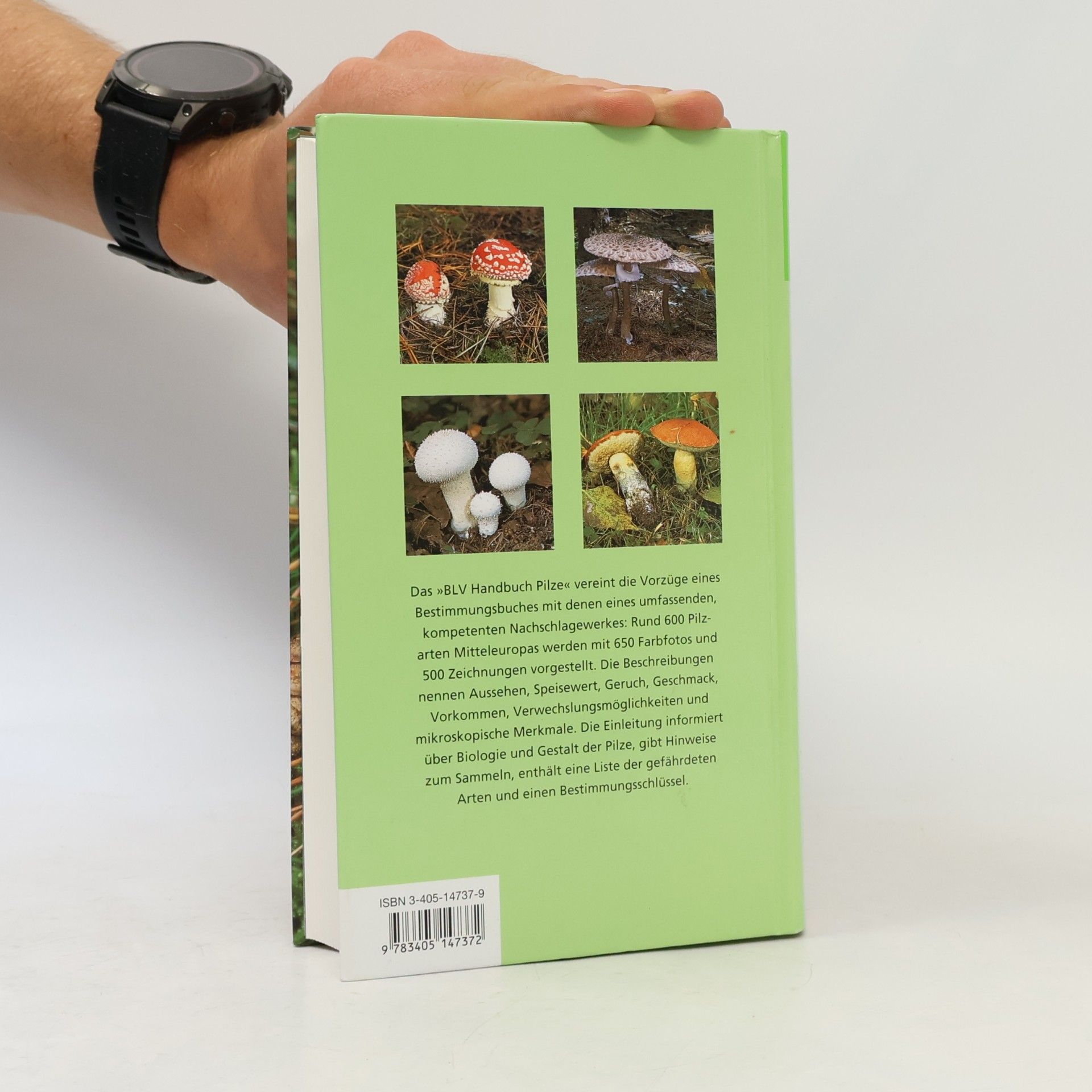 Ewald Gerhardt BLV-Handbuch Pilze