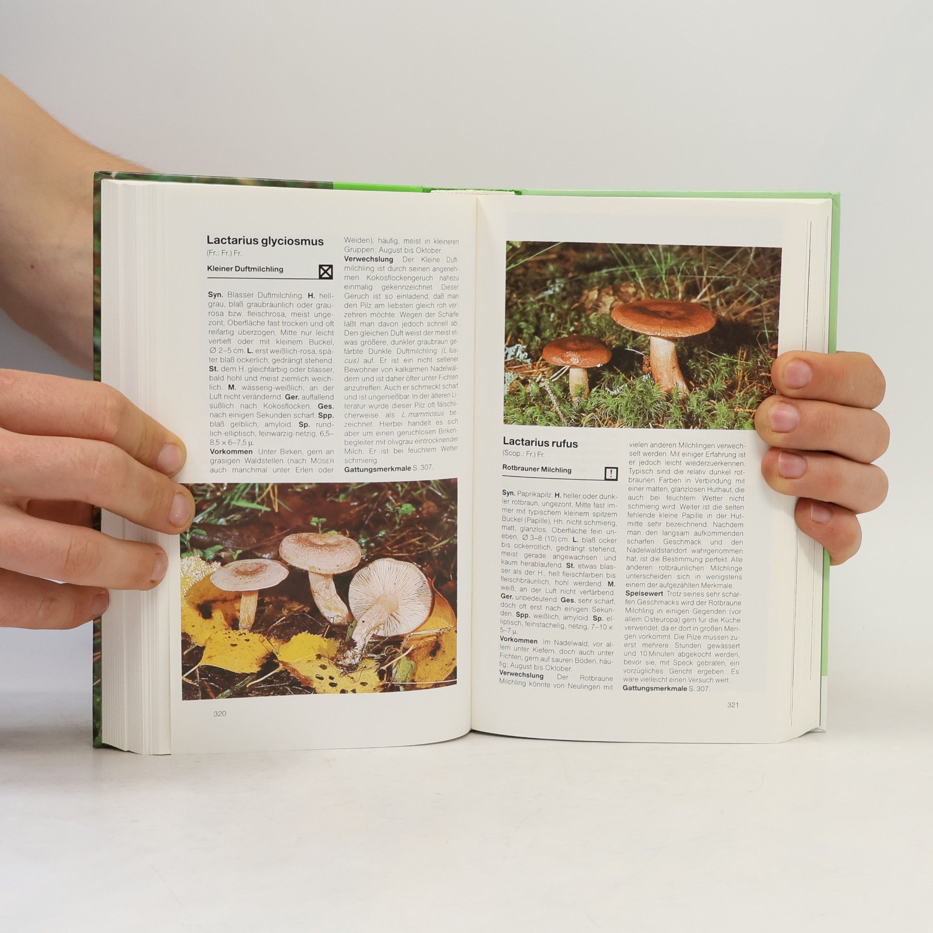 Ewald Gerhardt BLV-Handbuch Pilze
